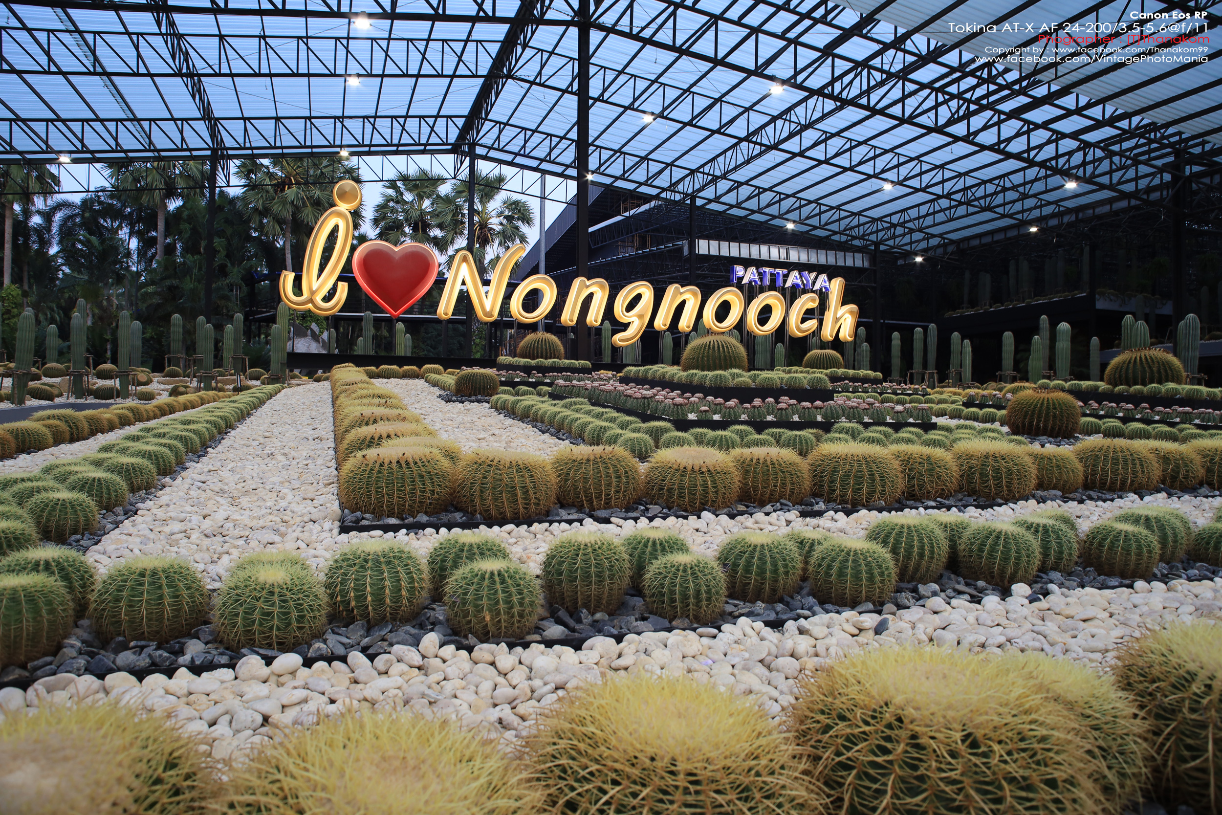 Tokina AT-X AF 24-200/3.5-5.6 Aspherical[IF] *Nikon AF-D Mount เลนส์ครอบจักรวาลรองรับฟูลเฟรม