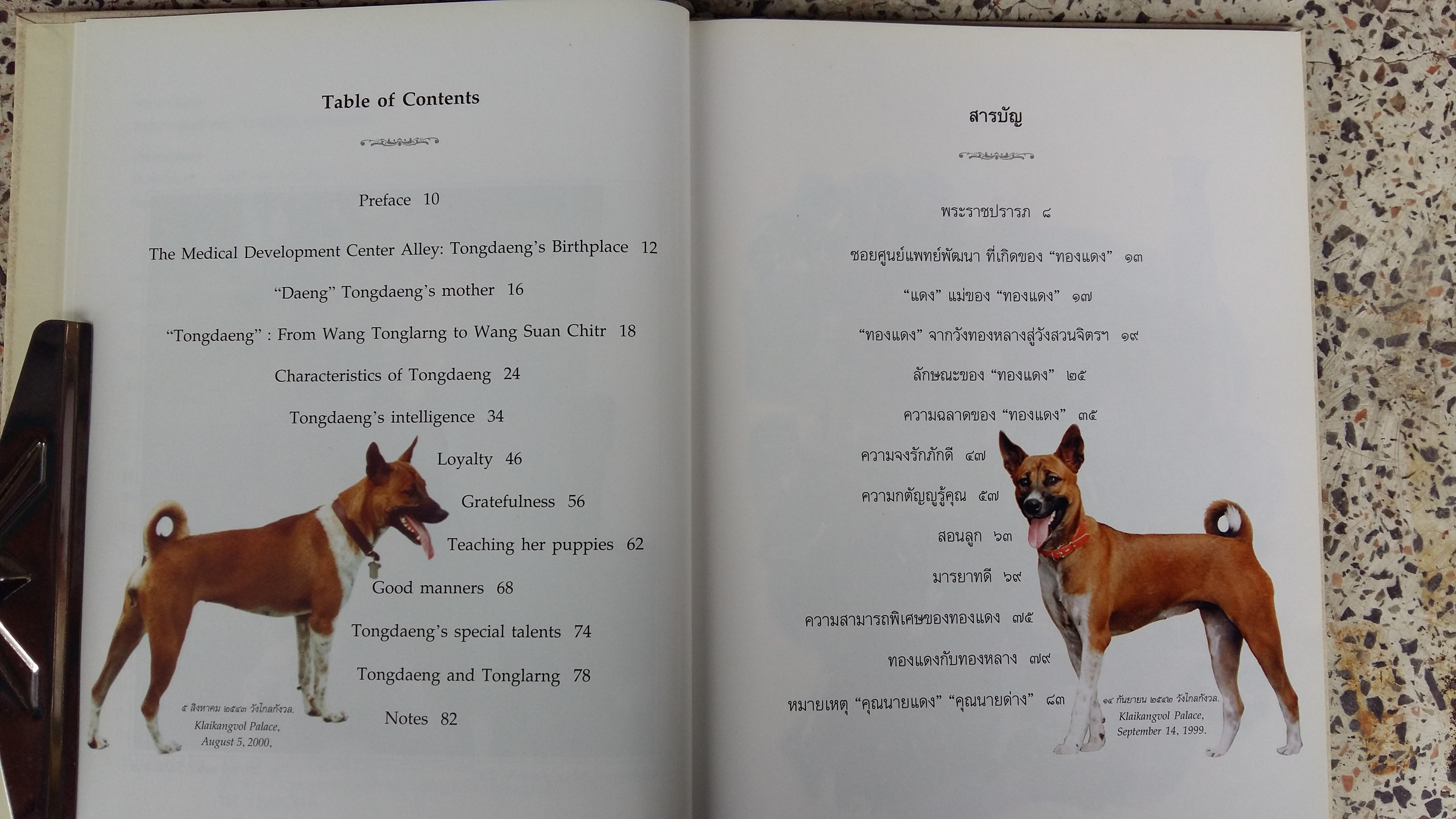 พระราชนิพนธ์เรื่อง ทองแดง / The Story of Tongdaeng