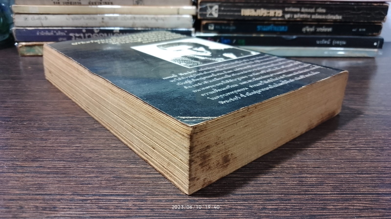 แดนนี่ ฟิชเช่อร์ คนสู้ชีวิต / ฮาโรลด์ รอบบินส์