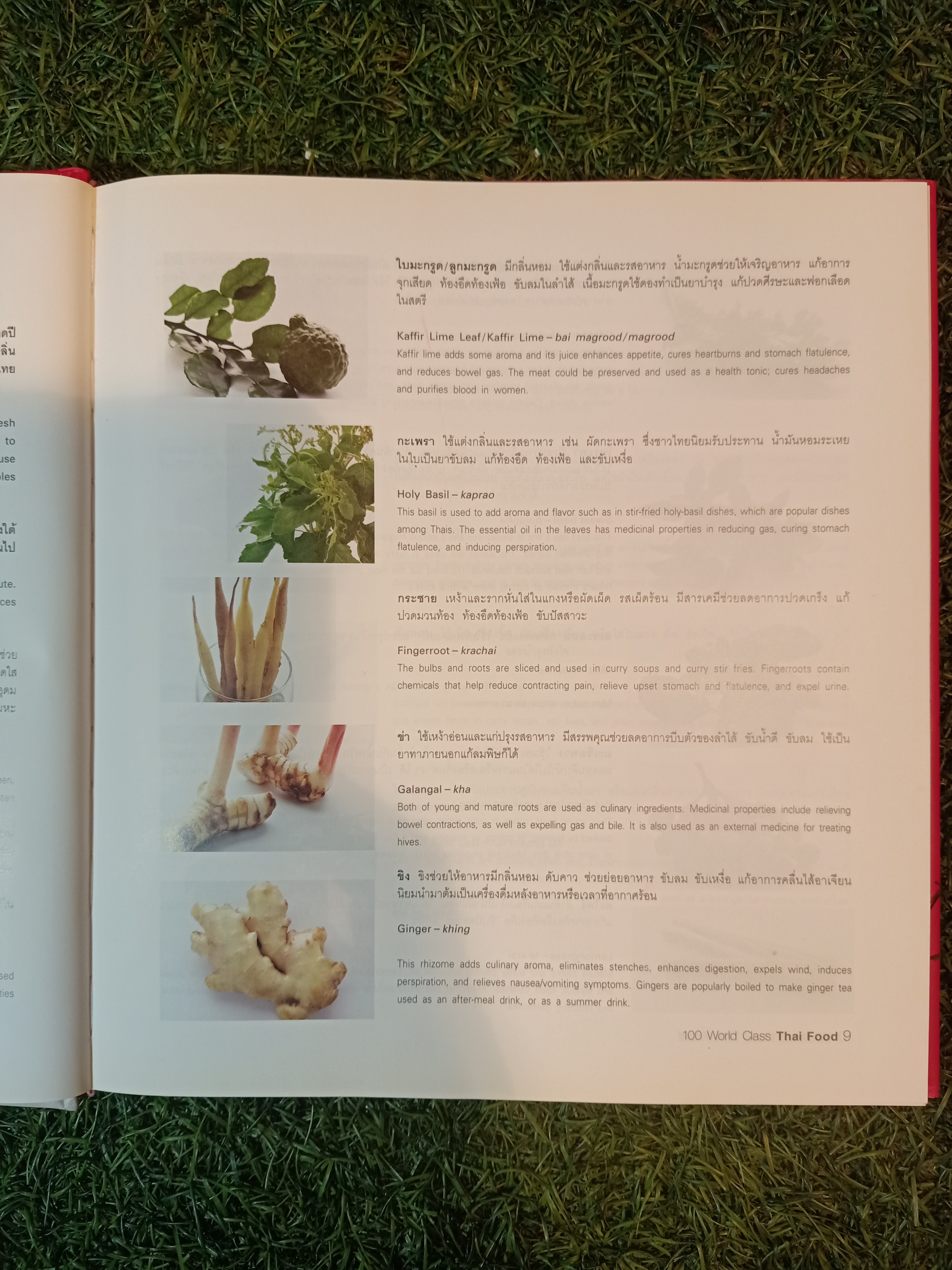 100World Class Thai Food Recommended by 100 Leading Women / อังคณา สุภกิจวณิชโชค