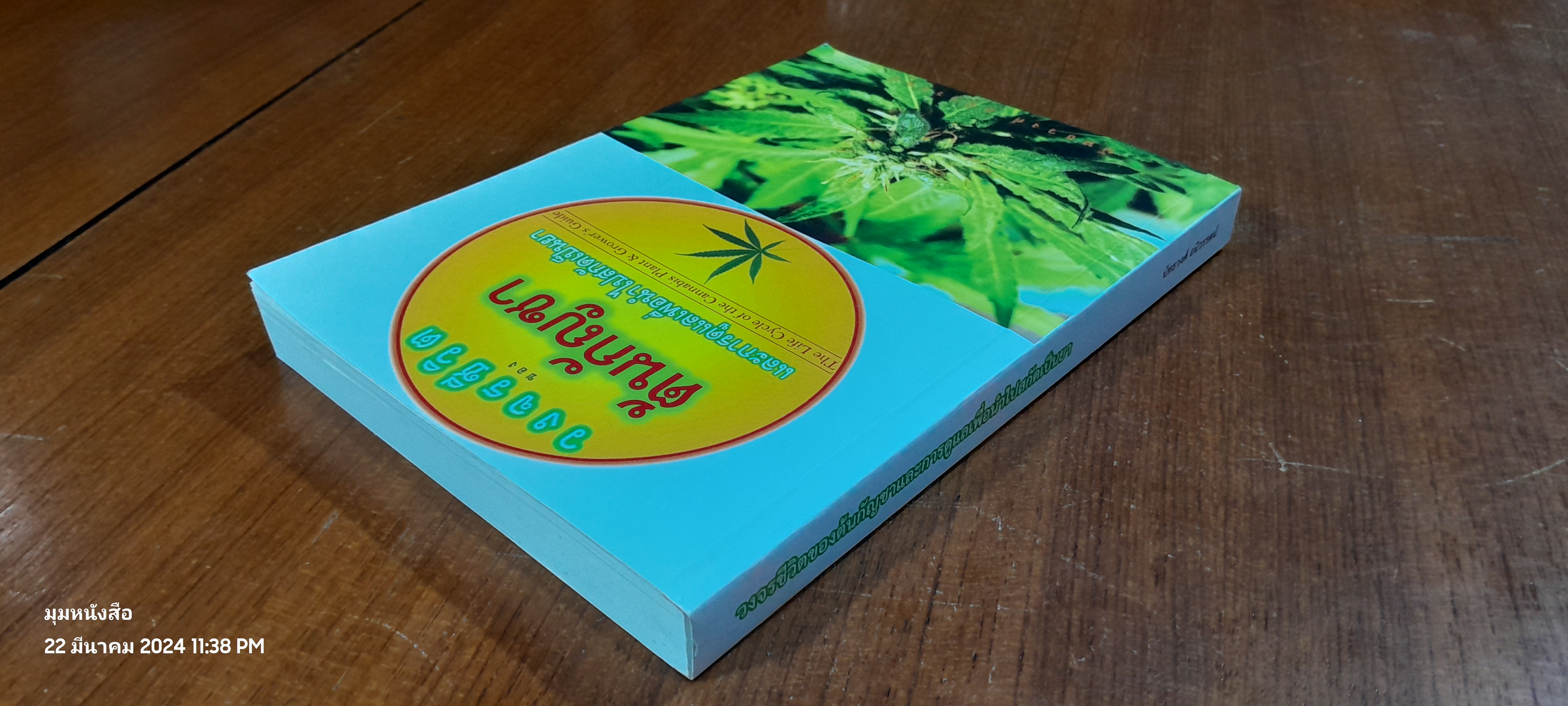 วงจรชีวิตของต้นกัญชาและการดูแลเพื่อนำไปสกัดเป็นยา / นัทธวงศ์ อนิวรรตน์