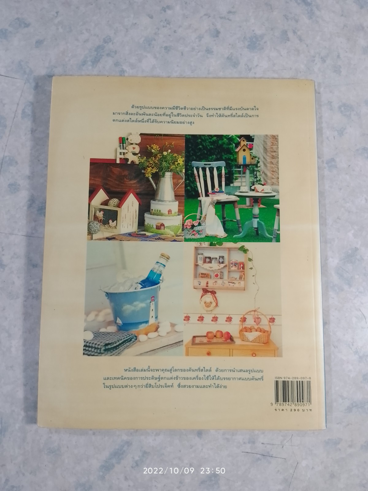 COUNTRY CRAFT PAINTING "วาดสีเล่นลายสไตล์คันทรี่" / กิติยา เสริมศักดิ์สกุล