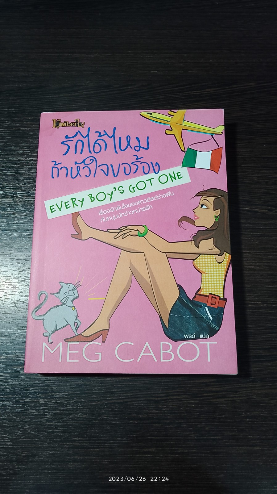 รักได้ไหมถ้าหัวใจขอร้อง / MEG CABOT