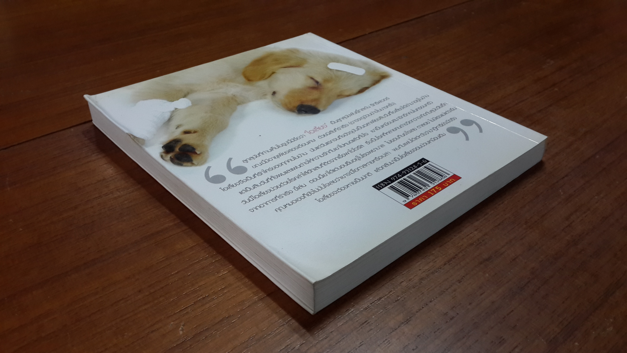 หมาเจ็บ / สรสิทธิ์ เสรีนุกุล