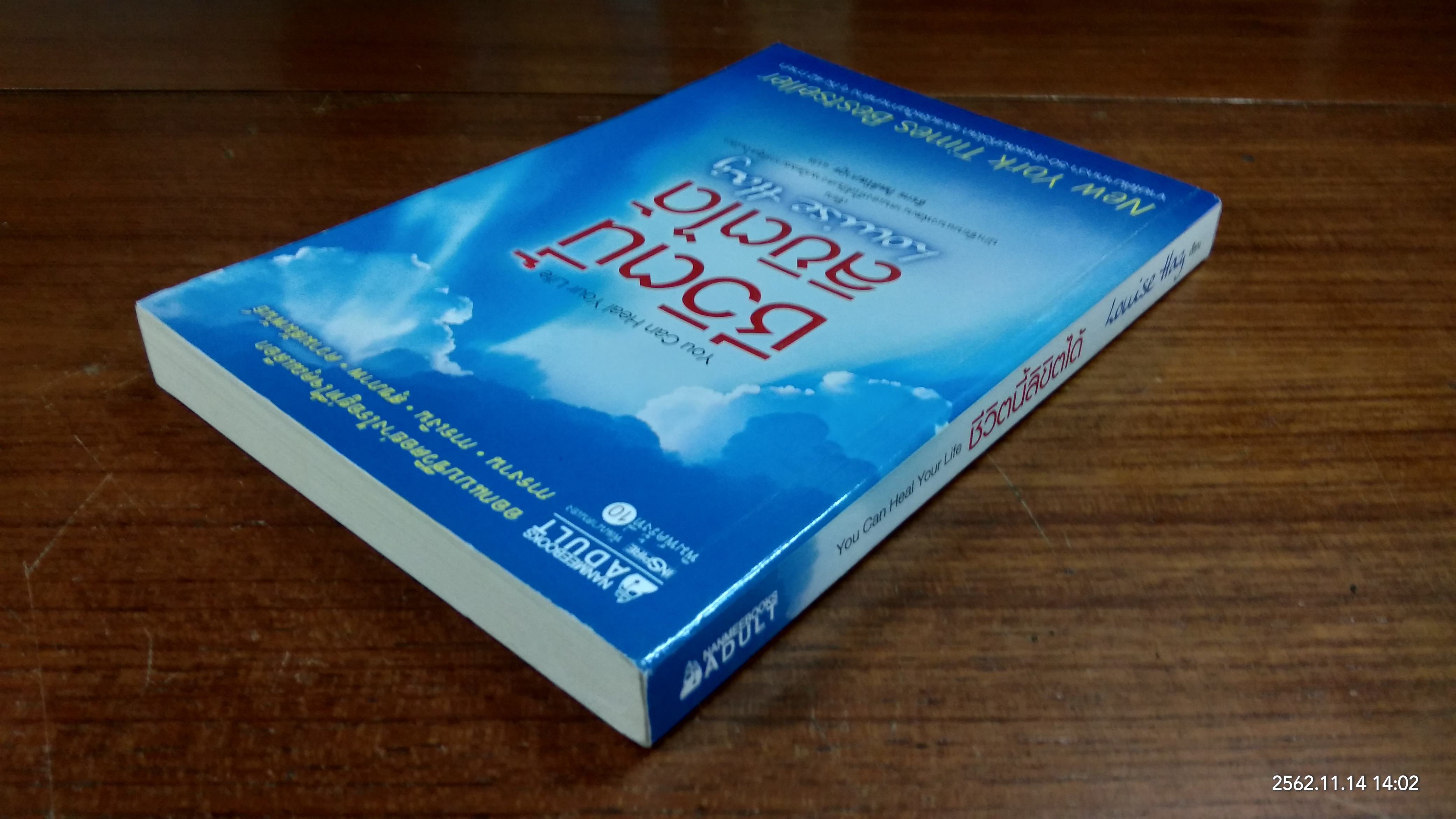 ชีวิตนี้ลิขิตได้ / ลูอิส เฮย์