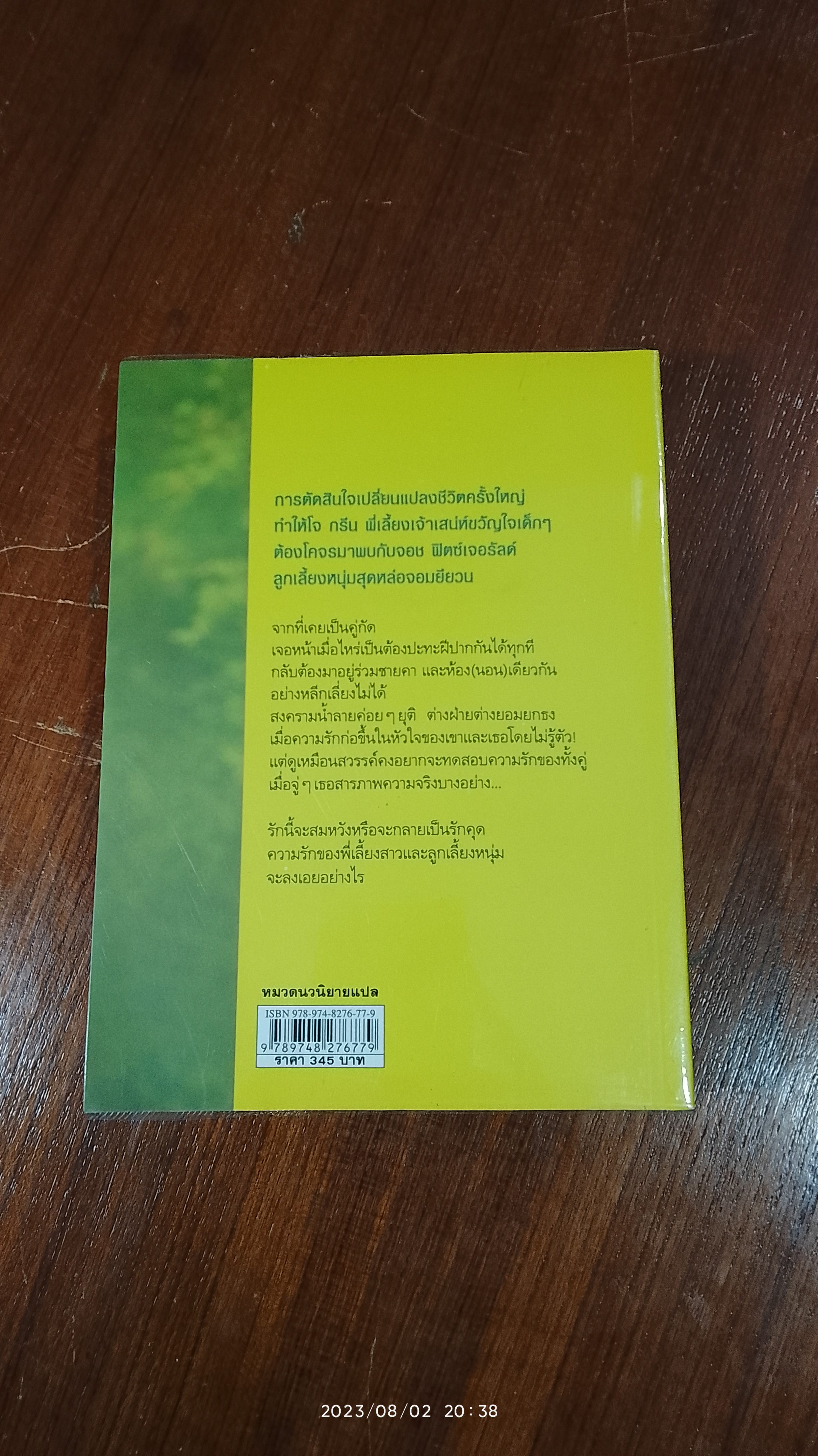 สะดุดรักหัวใจพี่เลี้ยง / Melissa Nathan