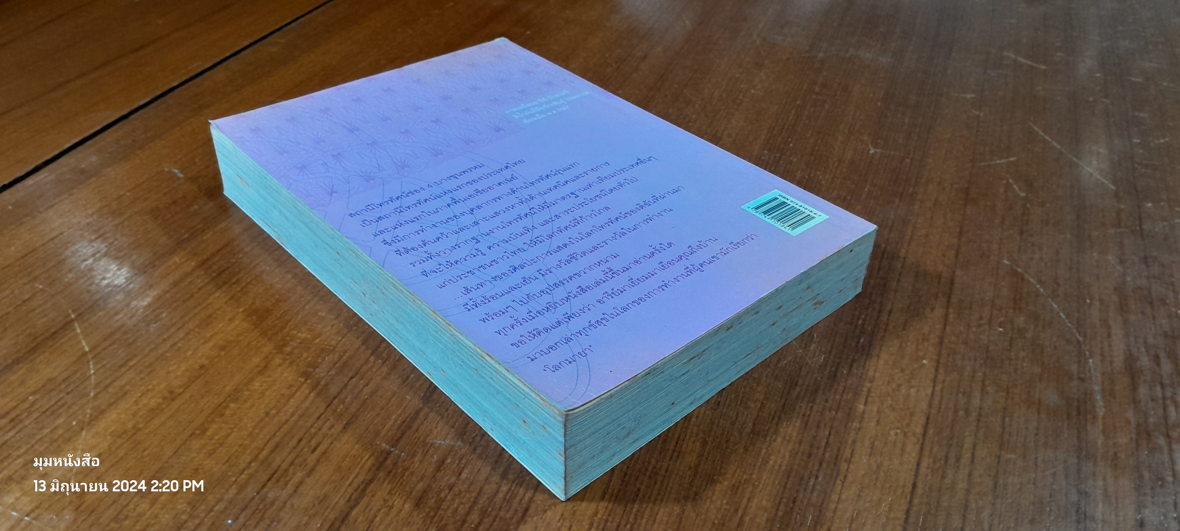 โลกมายาของอารีย์ / อารีย์ นักดนตรี