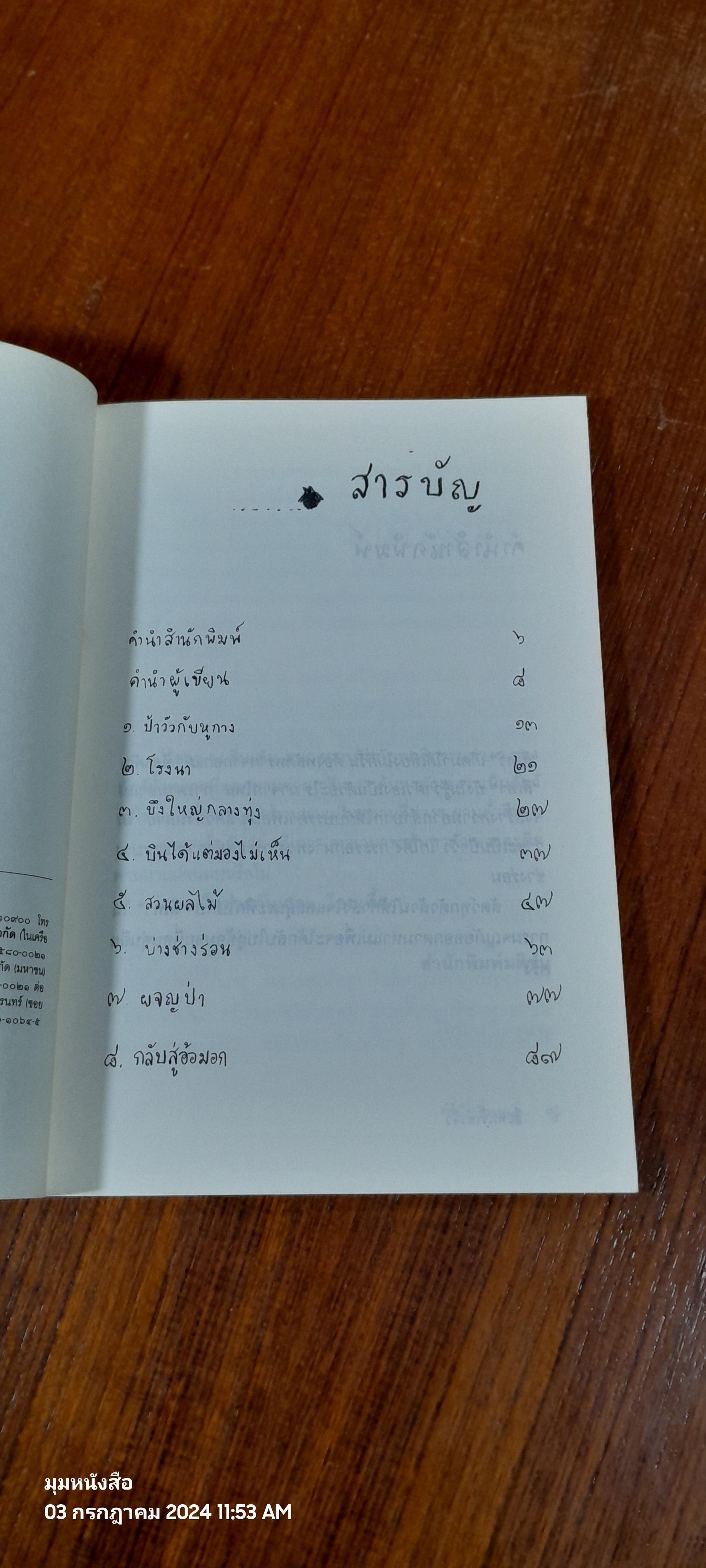 สีเทาเจ้าตัวจิ๋ว / รัศมี เบื่อขุนทด