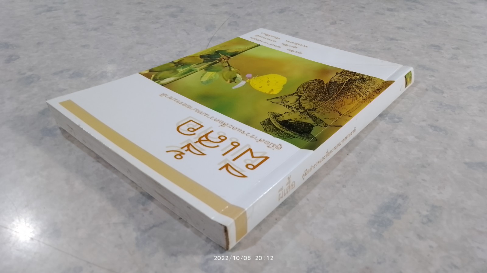 ผีเสื้อ คู่มือสำรวจและสื่อความหมายธรรมชาติ / สุรชัย ชลตำรงค์กุล