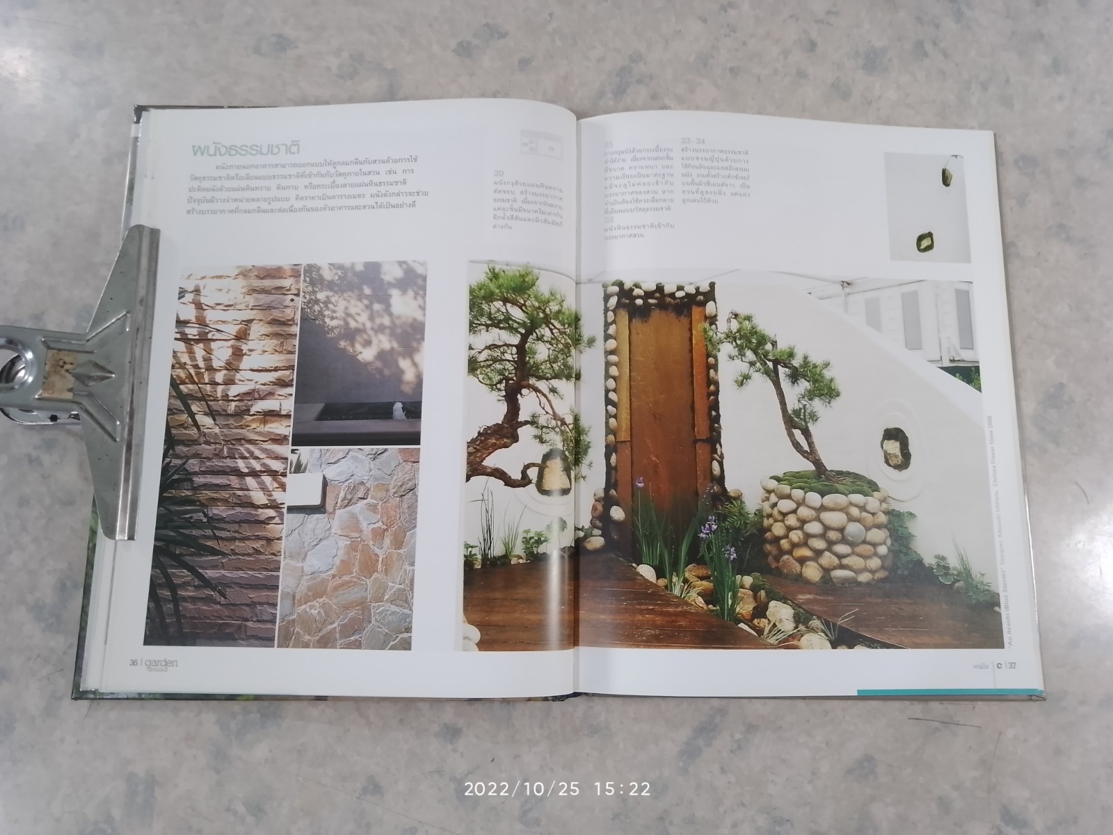 garden details 3 / บ้านและสวน