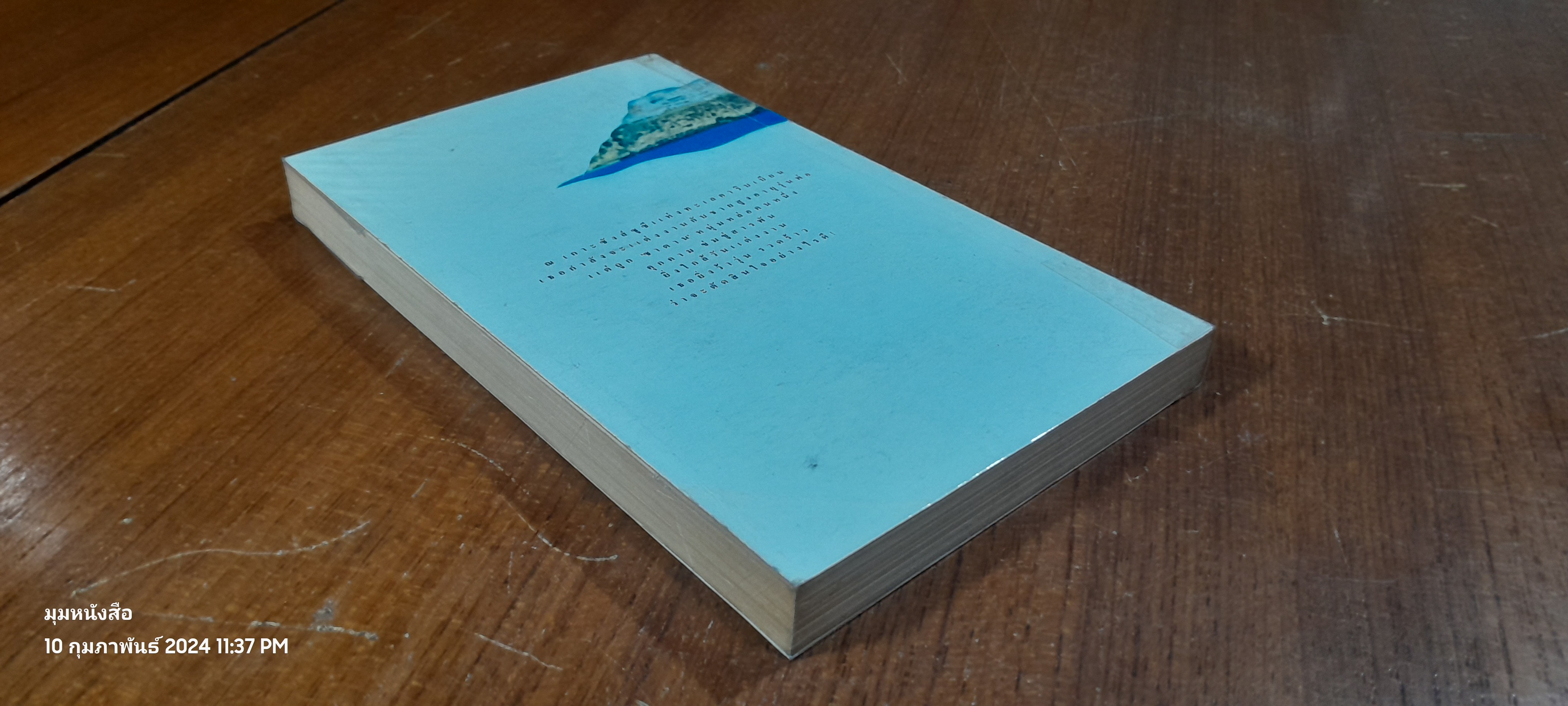 ซาตานที่รัก / แอนน์ เมเจอร์