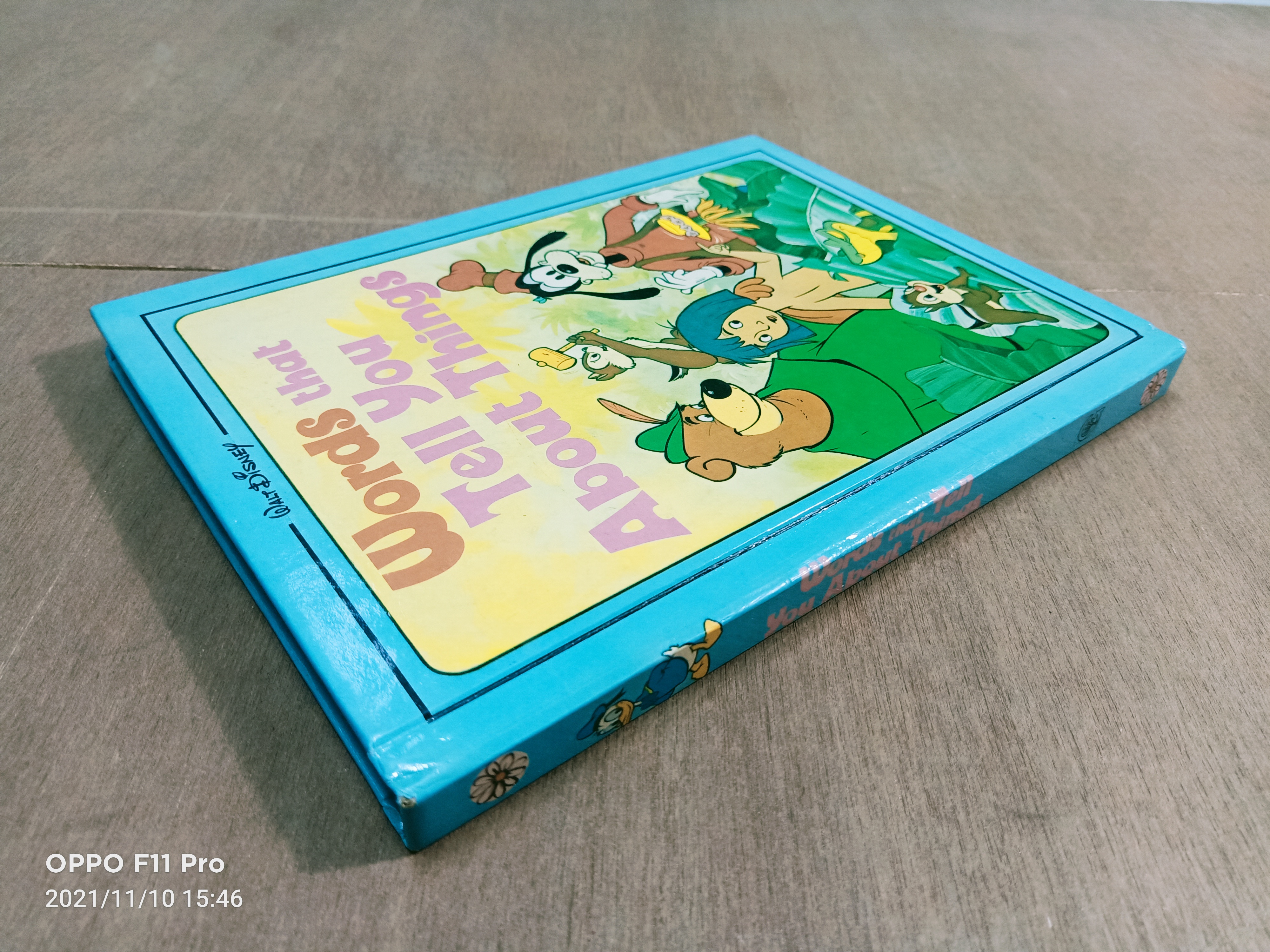 Words that Tell You About Things (หนังสือมีรอยเขียนตามรุปที่ถ่าย)