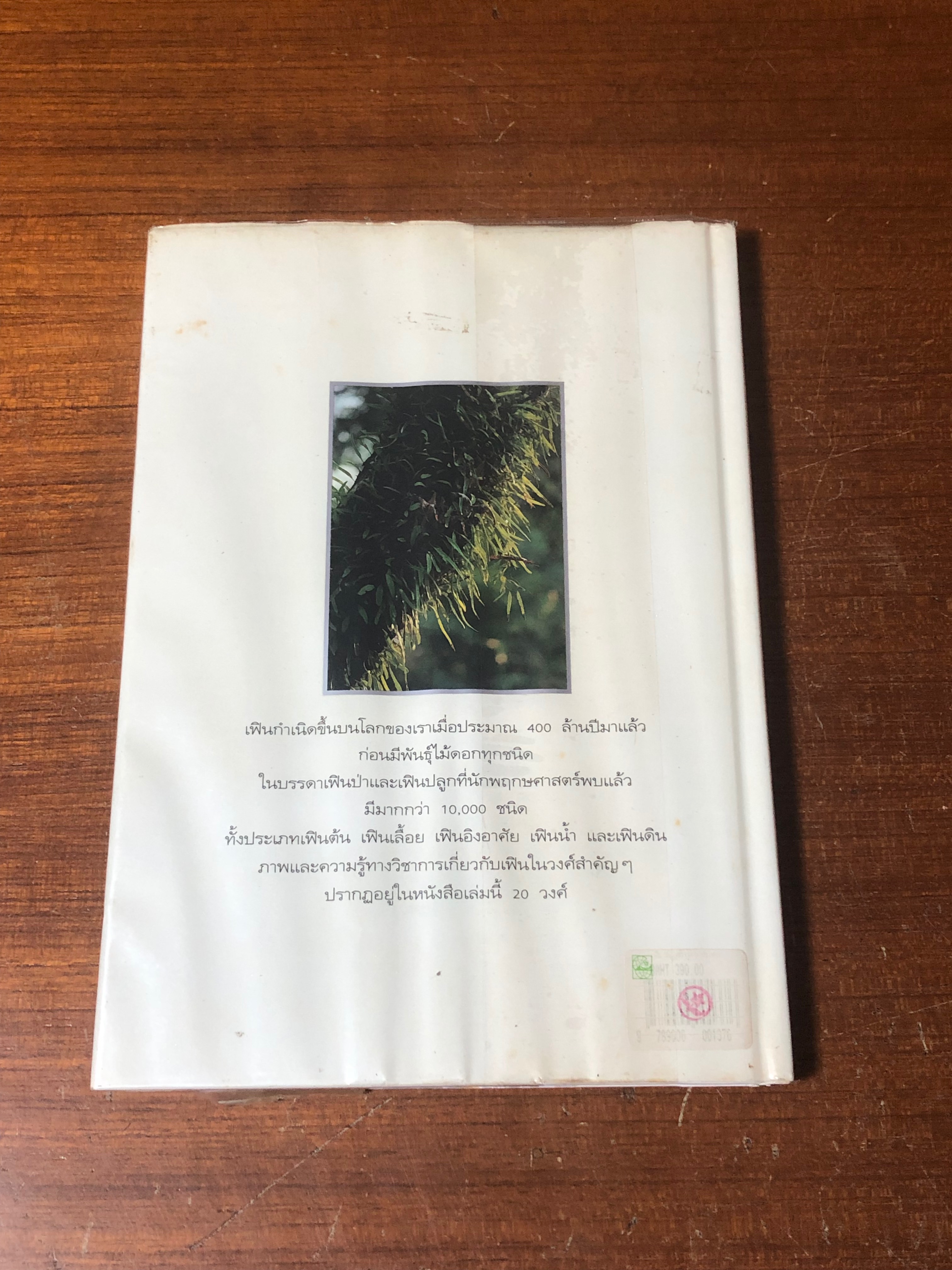 เฟิน : ต้นตระกูลไม้ประดับ / ม.ล.จารุพันธ์ ทองแถม