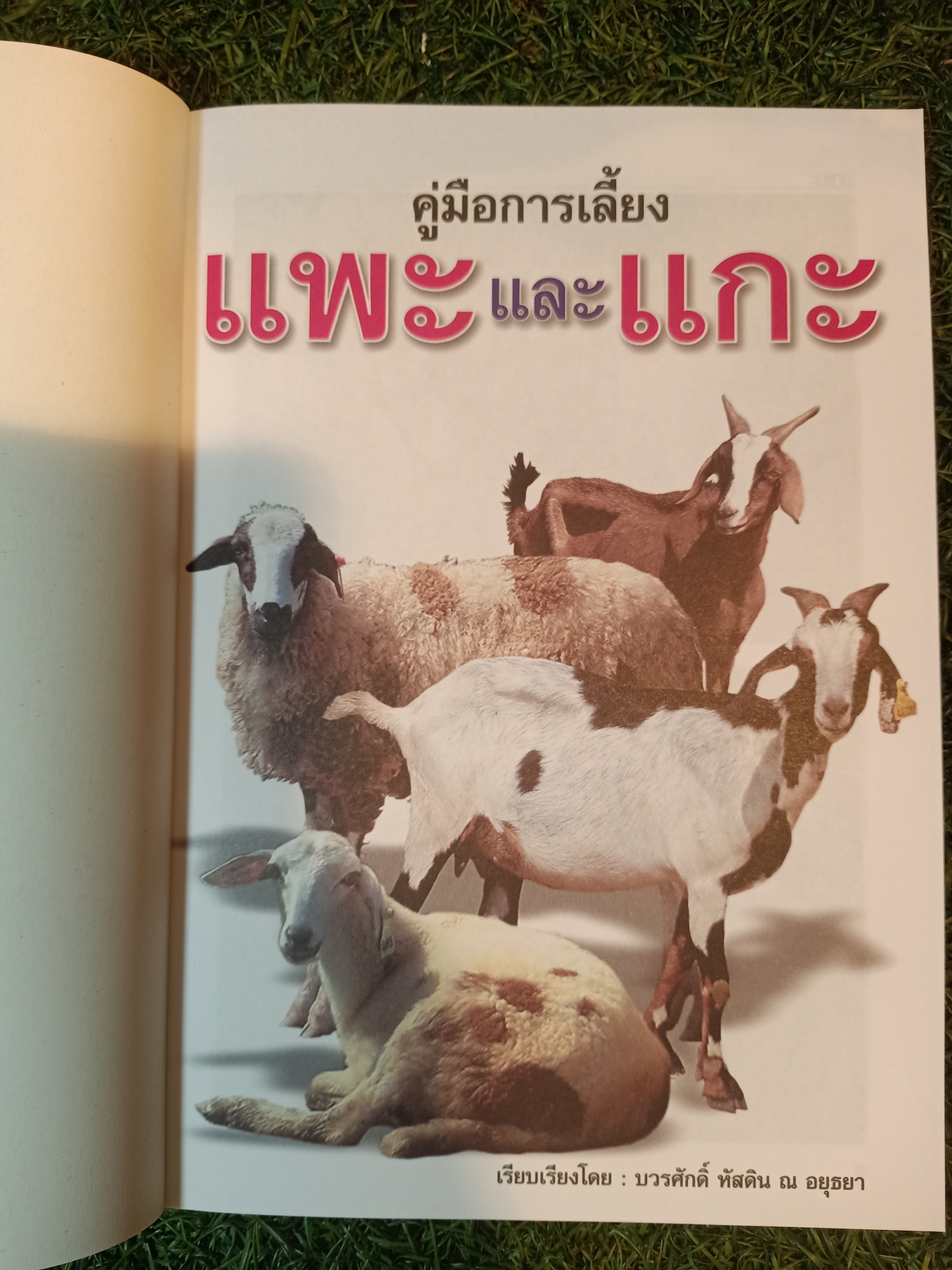 คู่มือการเลี้ยง แพะ และ แกะ สัตว์เศรษฐกิจที่กำลังได้รับความนิยมสูง / บวรศักดิ์ หัสดิน ณ อยุธยา