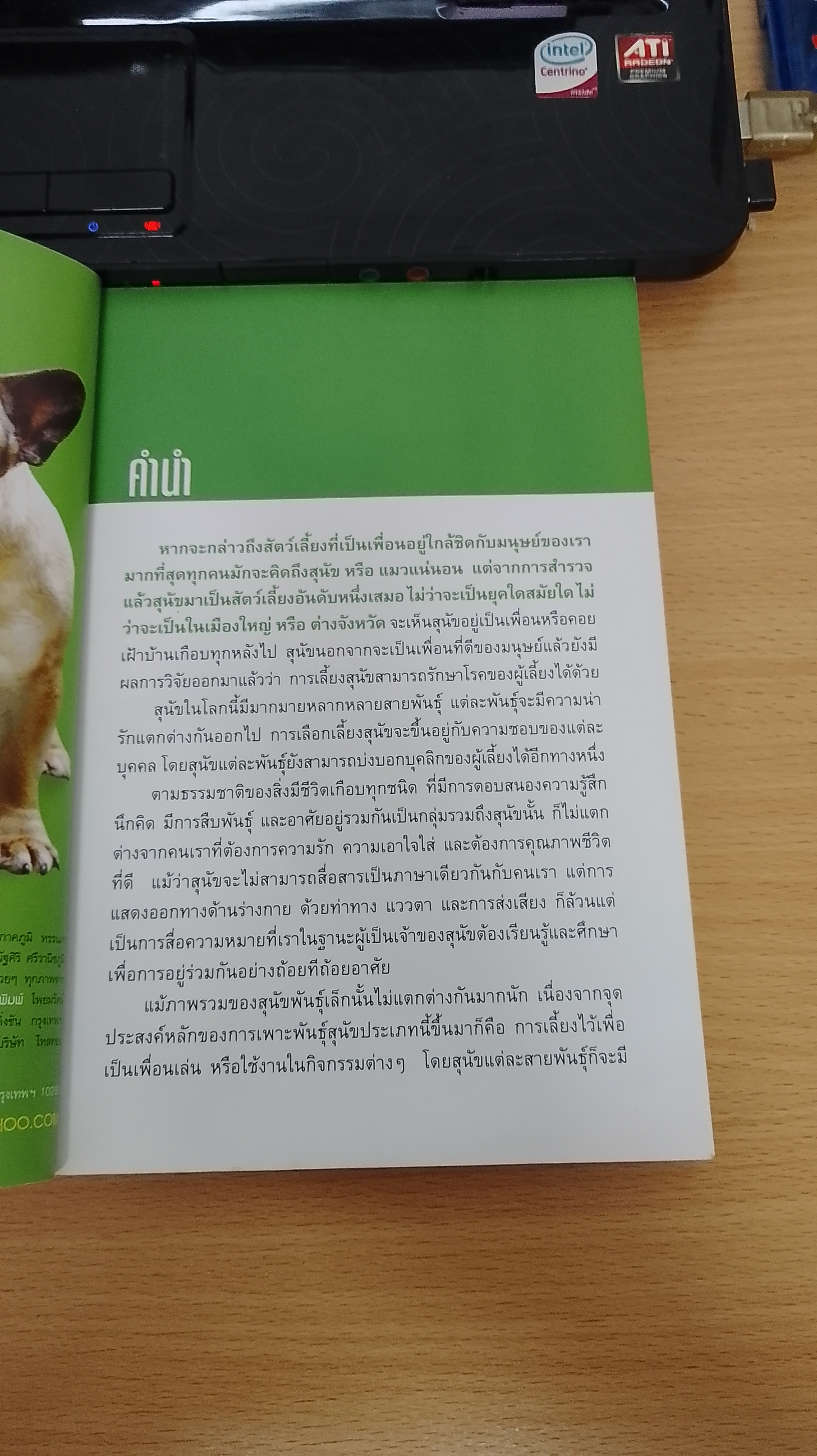 DOG IN THAILAND Vol.1 / ทวีศักดิ์