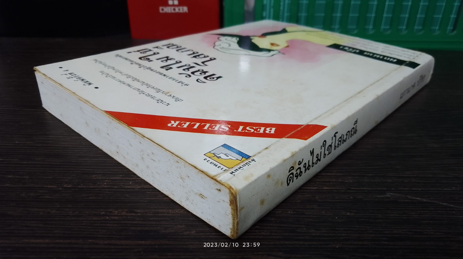 ดิฉันไม่ใช่โสเภณี / ผกามาศ ปรีชา
