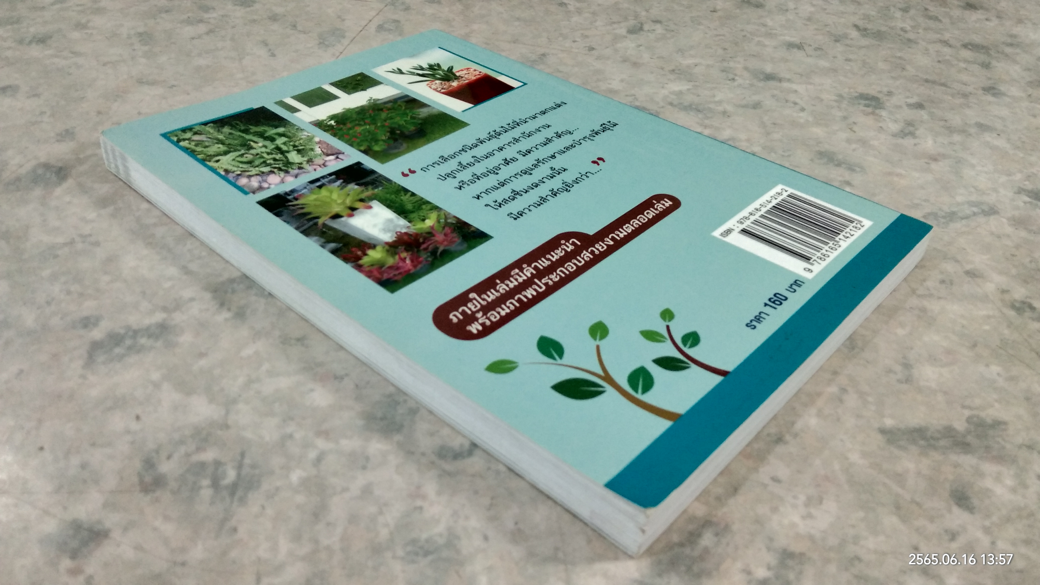 คู่มือการปลูกไม้ประดับในอาคารสำนักงาน / รวิภา เดชาชาญ