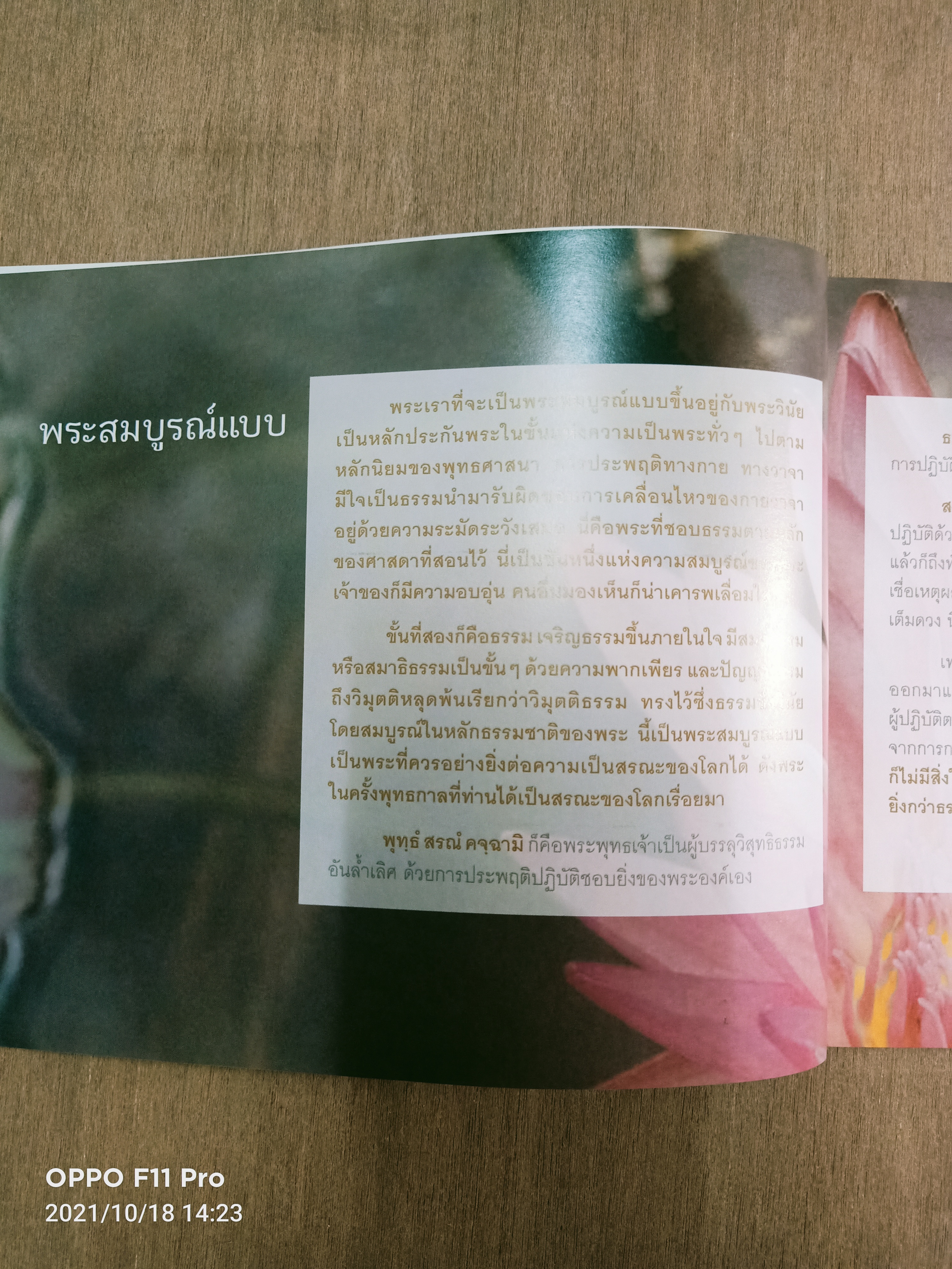 ไม่มาเกิดไม่มาตายเรียกว่า ชาติสุดท้าย / หลวงตาพระมหาบัว ญาณสัมปันโน