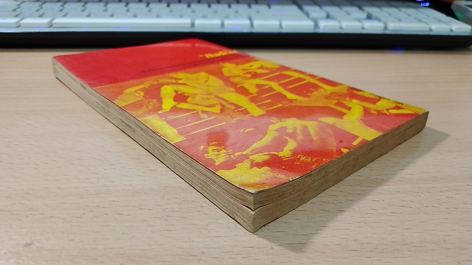 สิงห์สังเวียน / "สิงห์โดม"