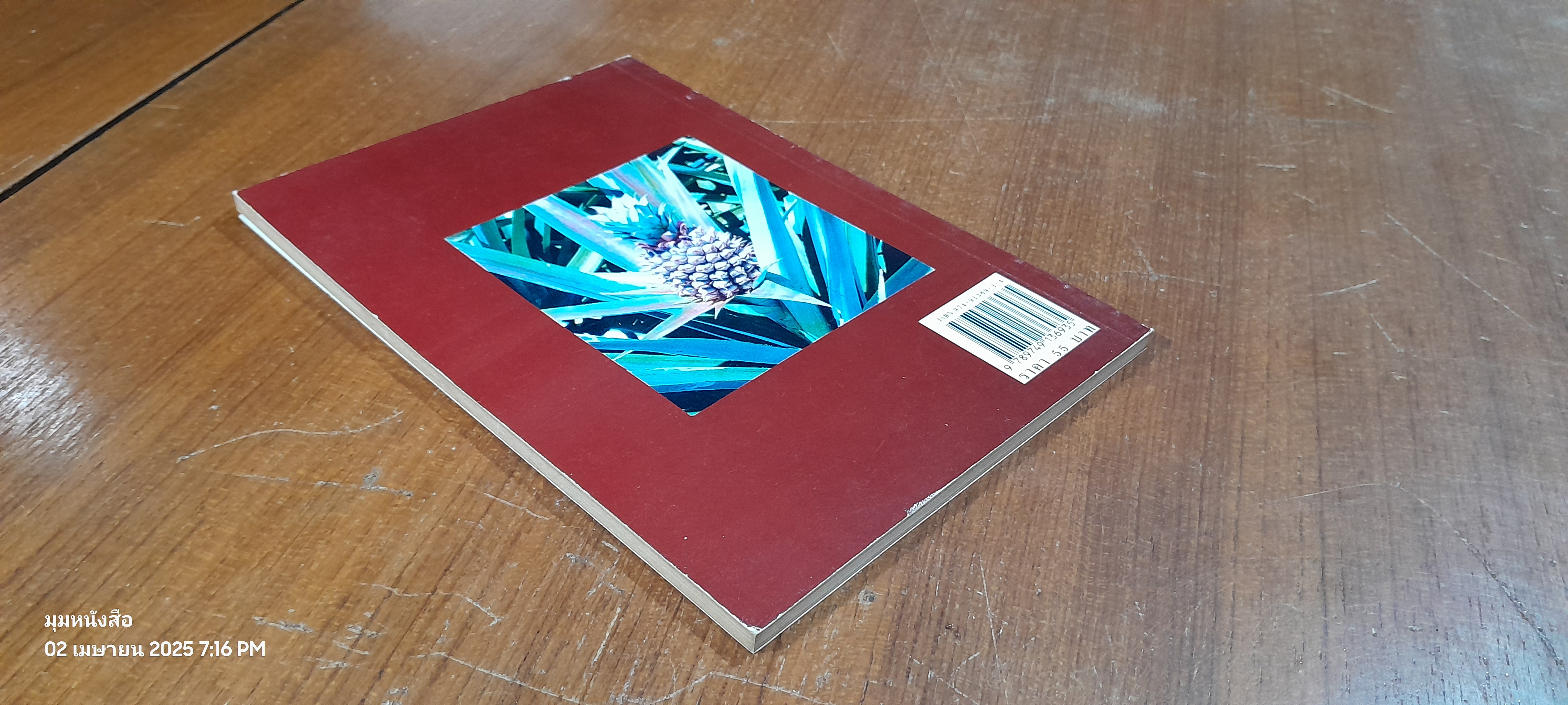 สับปะรด / จิราพรรณ คล้ายกิจจา