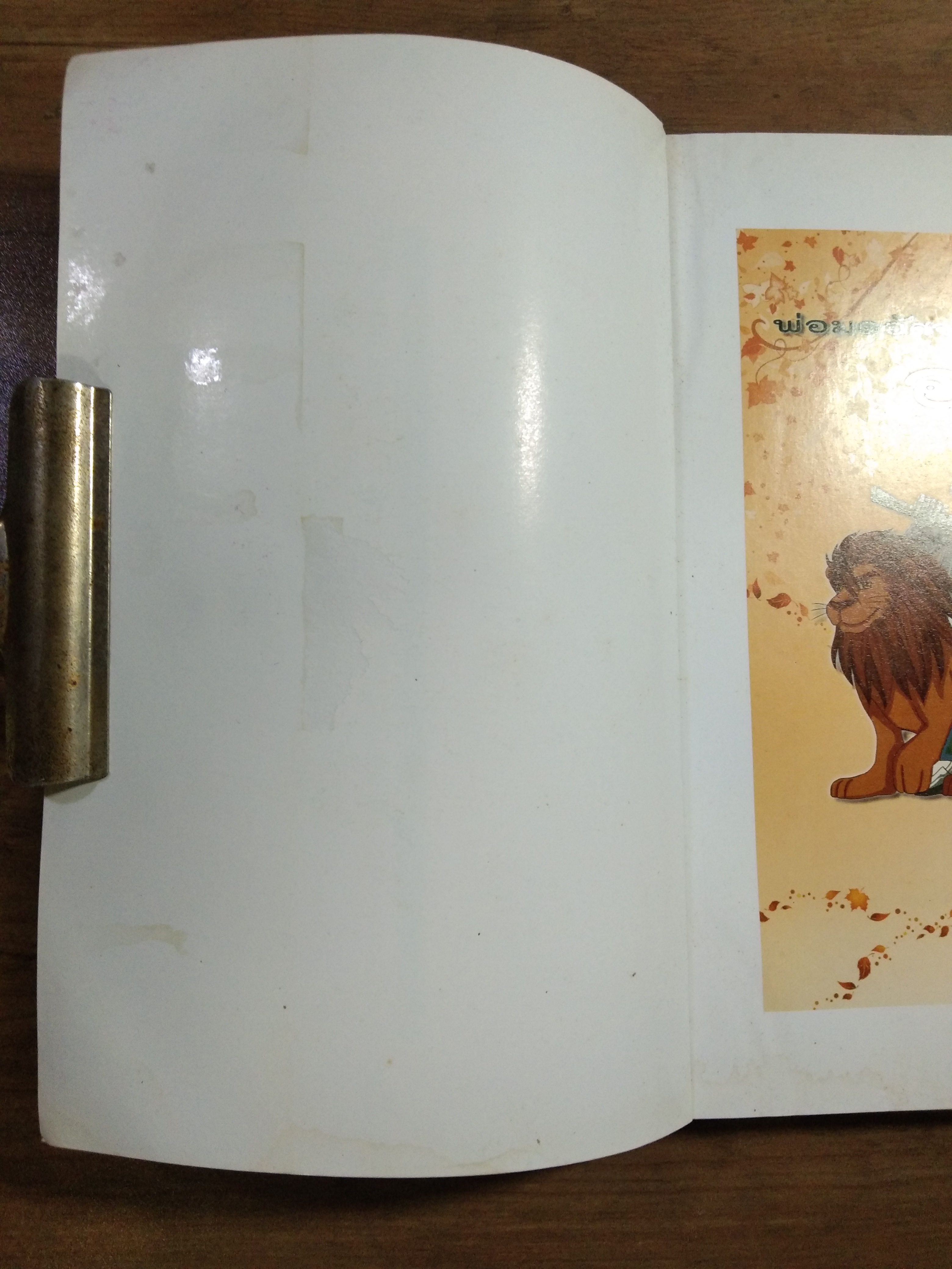 วรรณกรรมอมตะโลก พ่อมดอัศจรรย์แห่ง ออซ The Wonderful Wizard of Oz / แอล.แฟรงก์ โบม