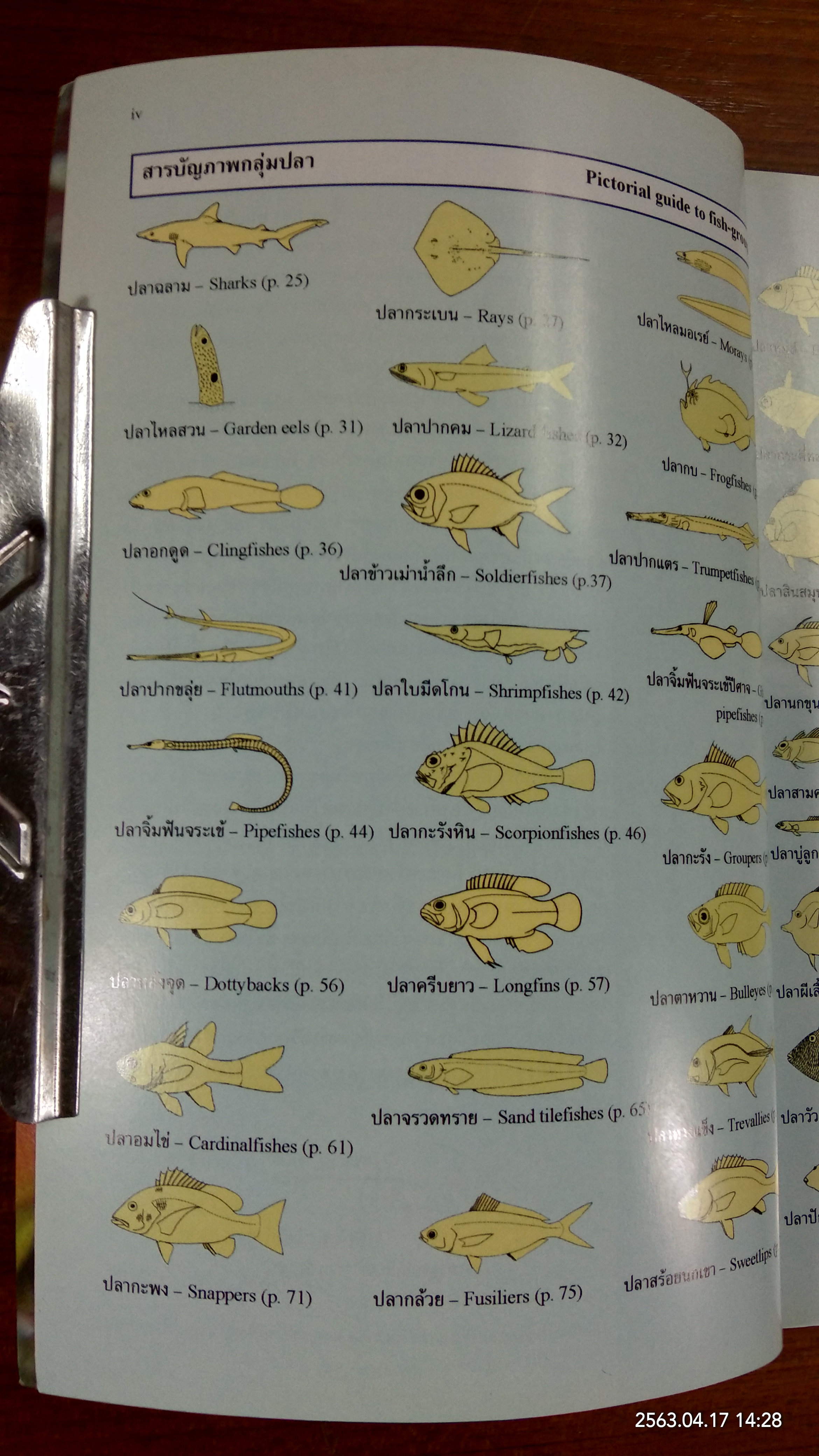 คู่มือปลาในแนวปะการัง ฝั่งทะเลอันดามันของประเทศไทย / กรมทรัพยากรทางทะเลชายฝั่ง