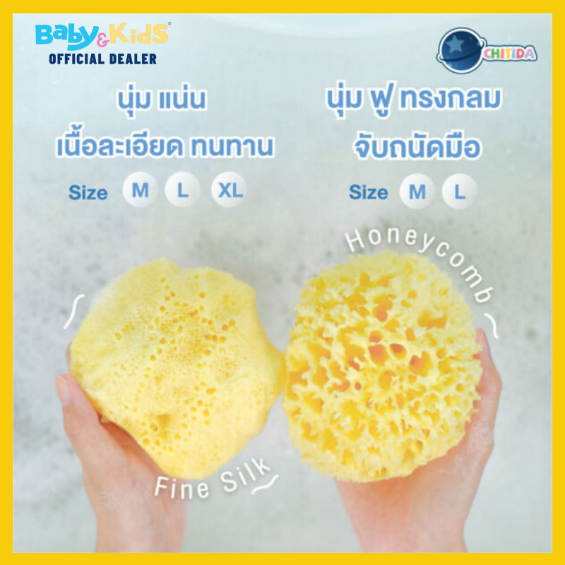 Chitida Natural Mediterranean Sea Sponge ฟองน้ำธรรมชาติ 100% รุ่น HONEYCOMB Size.M