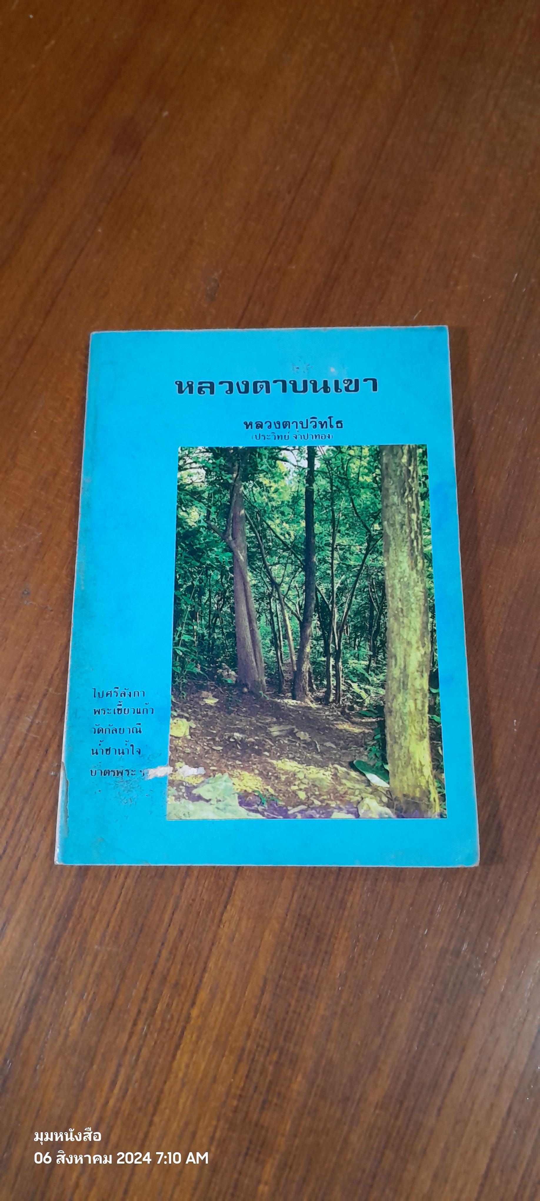 หลวงตาบนเขา / หลวงตาปวิทโธ