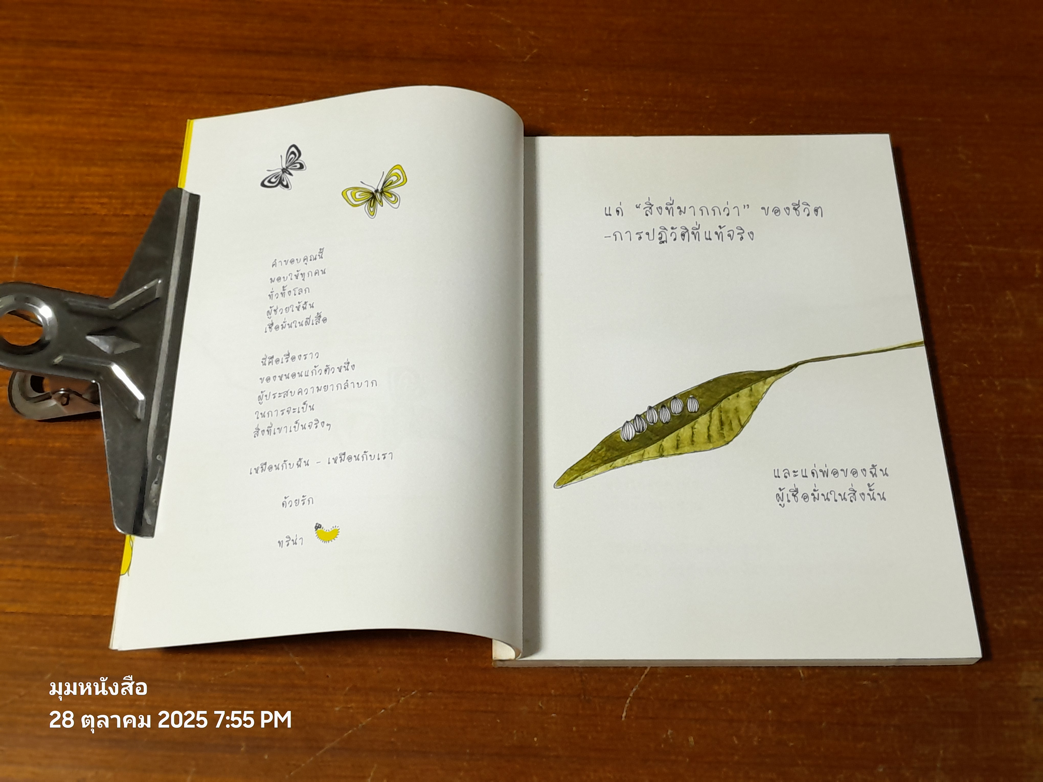 ดอกไม้และความหวัง / ทริน่า เพาลัส