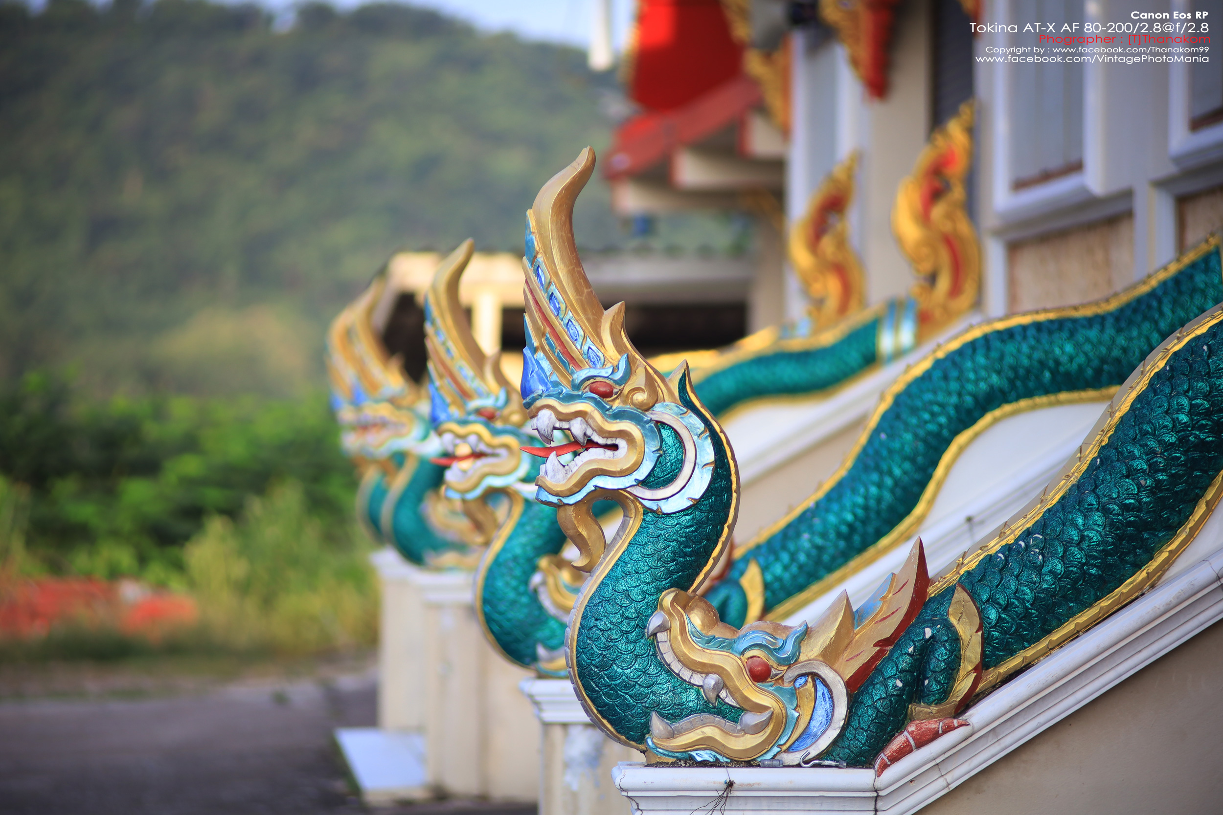 Tokina AT-X SD AF 80-200/2.8 *Nikon AF-D Mount เลนส์ซูมระดับโปรเอฟกว้างละลายหลังสวย