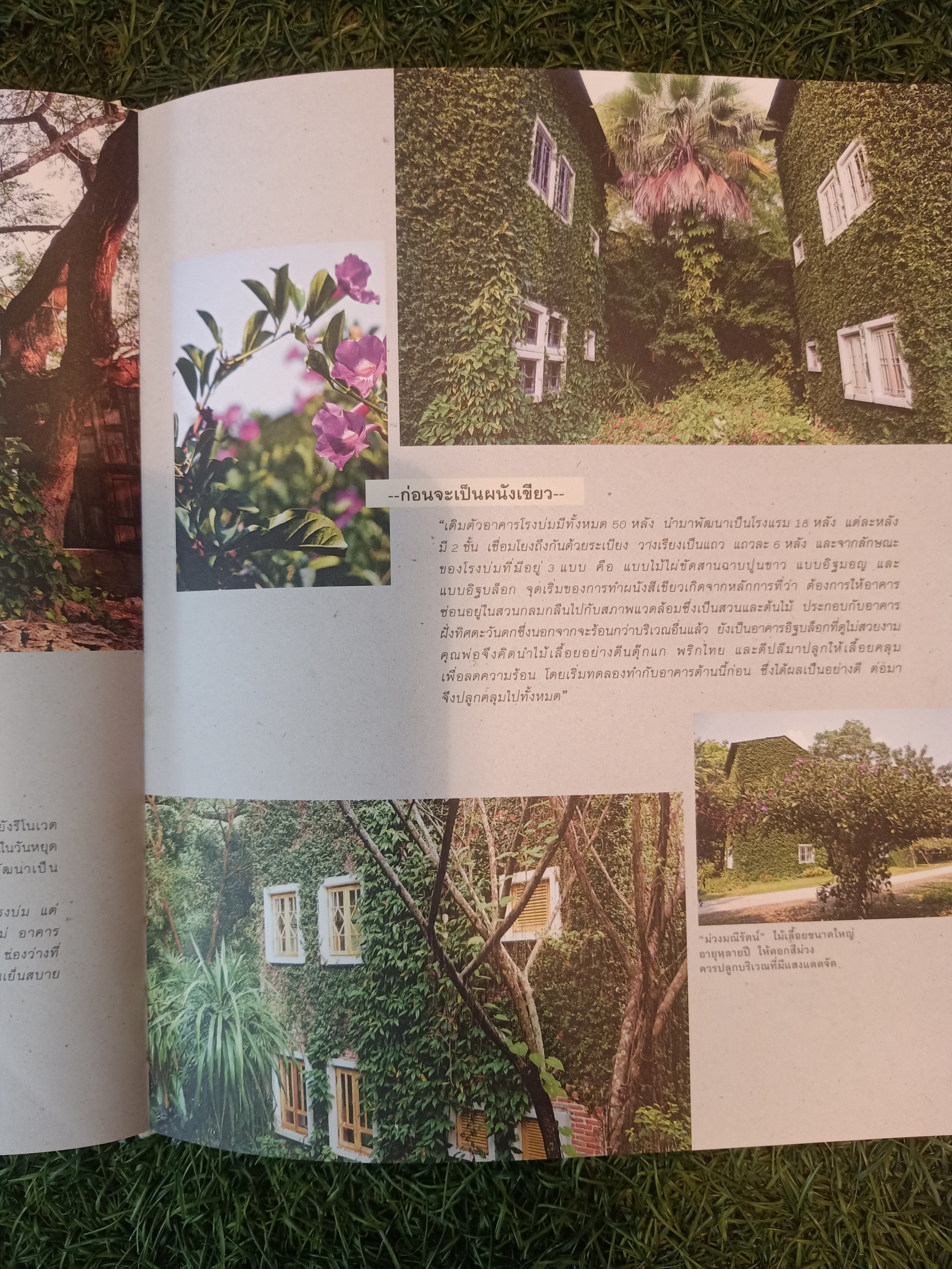 VERTICAL & ROOF GARDEN จัดสวนสวยบนผนังและหลังคา (หนังสือมีรอยชำรุดที่สันปก) / รศ.พาสินี สุนากร & ทิพาพรรณศิริเวชฎารักษ์