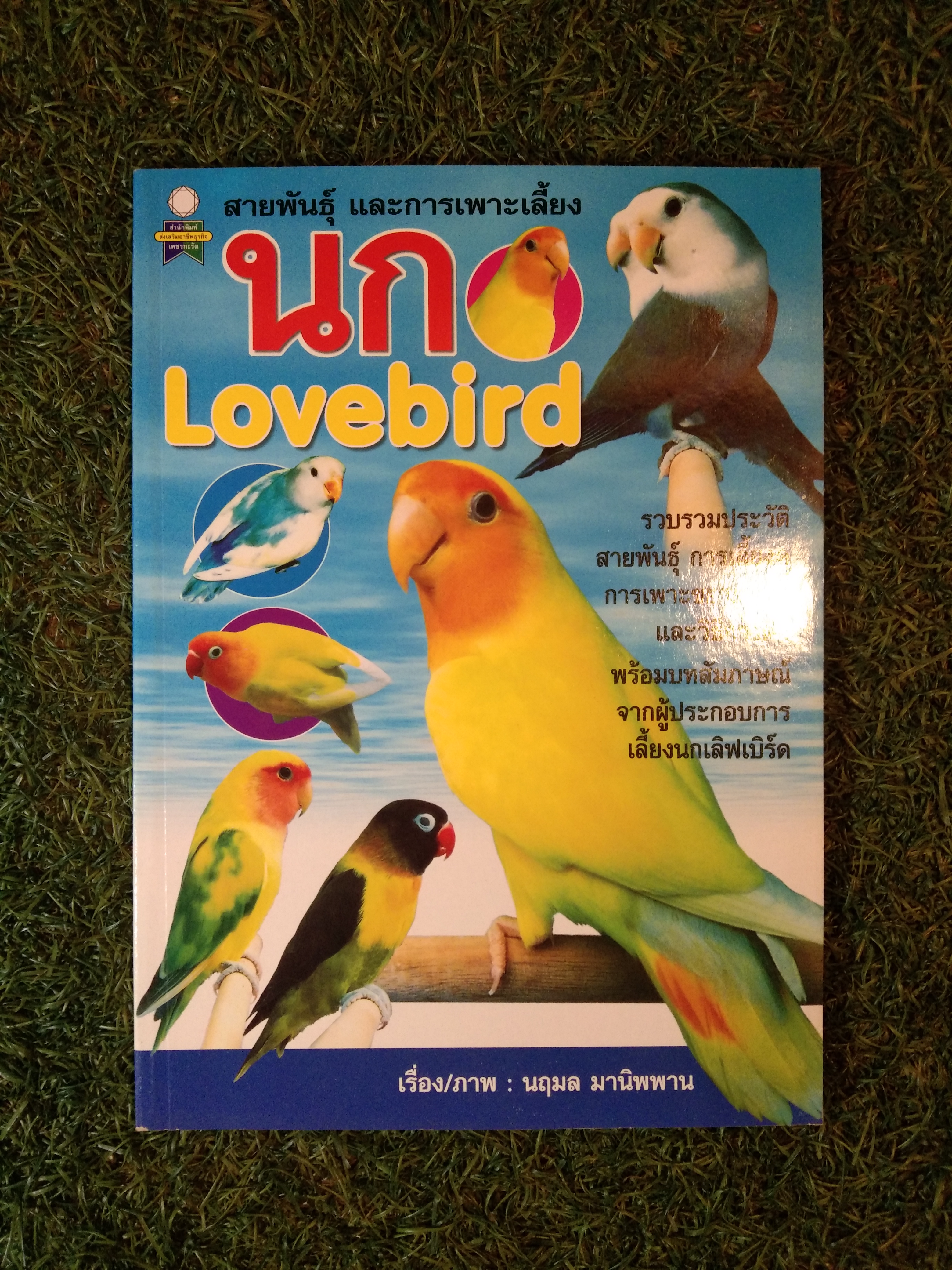 สายพันธุ์ และการเพาะเลี้ยง นก Lovebird / นฤมล มานิพพาน