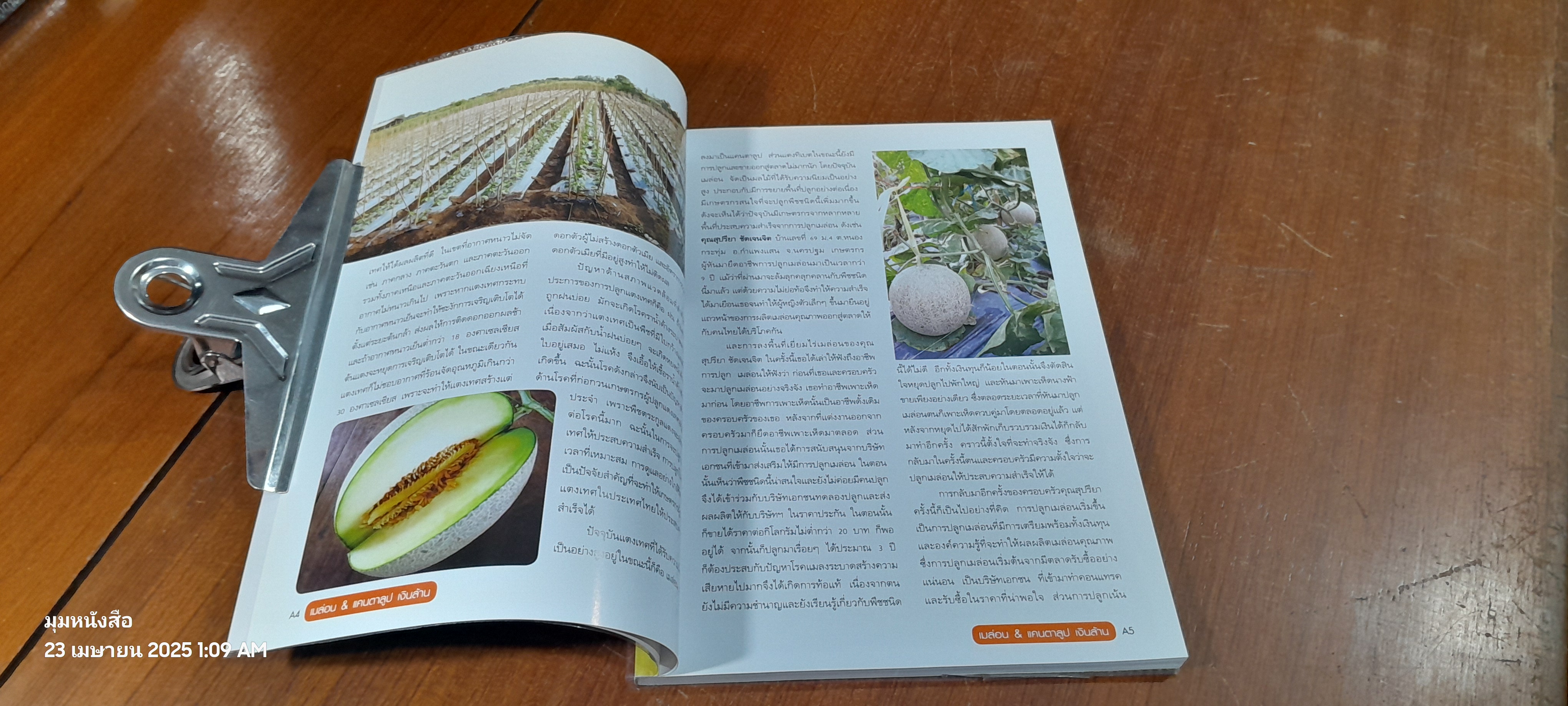 เมล่อน & แคนตาลูป เงินล้าน / อภิชาติ ศรีสอาด