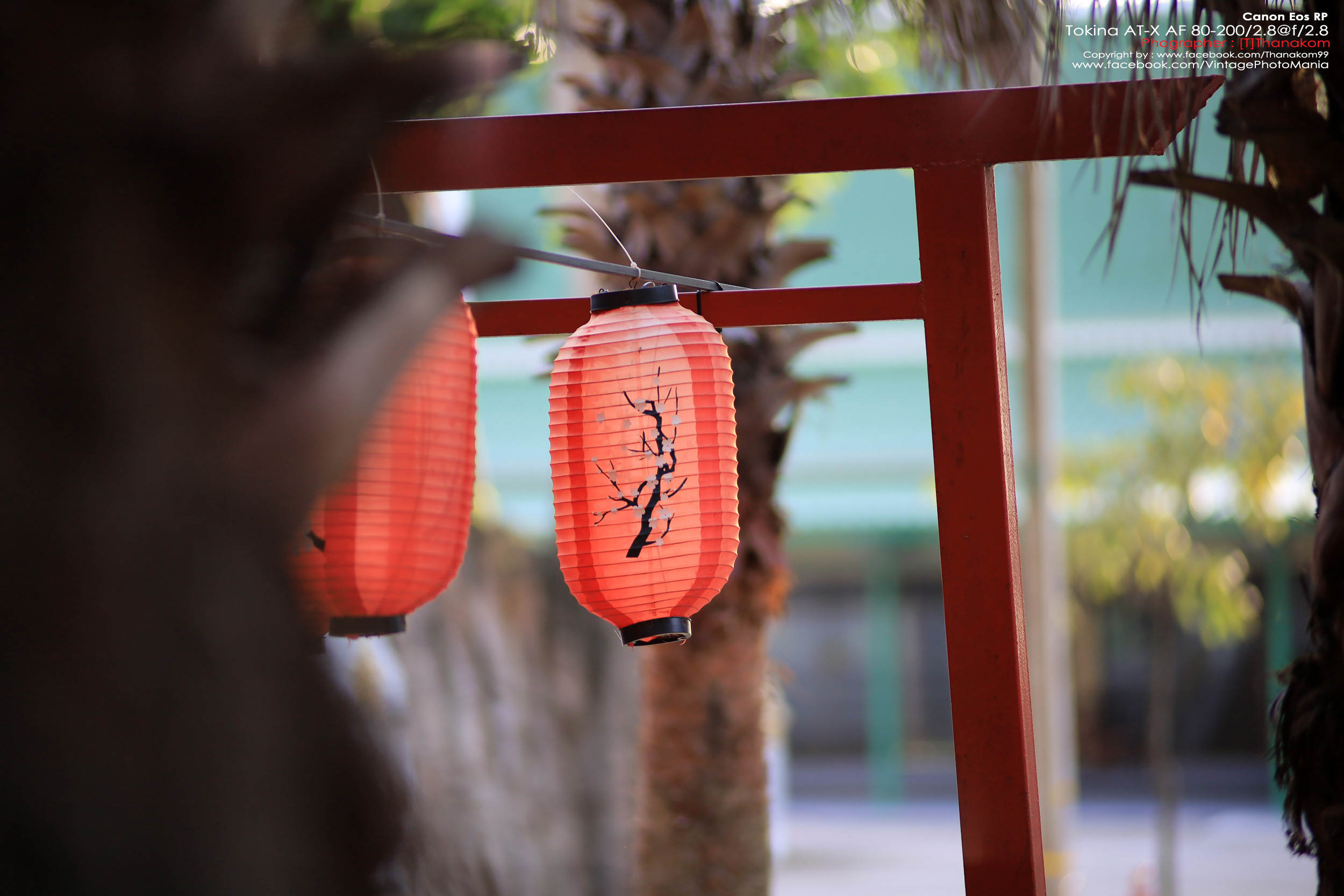 Tokina AT-X SD AF 80-200/2.8 *Nikon AF-D Mount เลนส์ซูมระดับโปรเอฟกว้างละลายหลังสวย