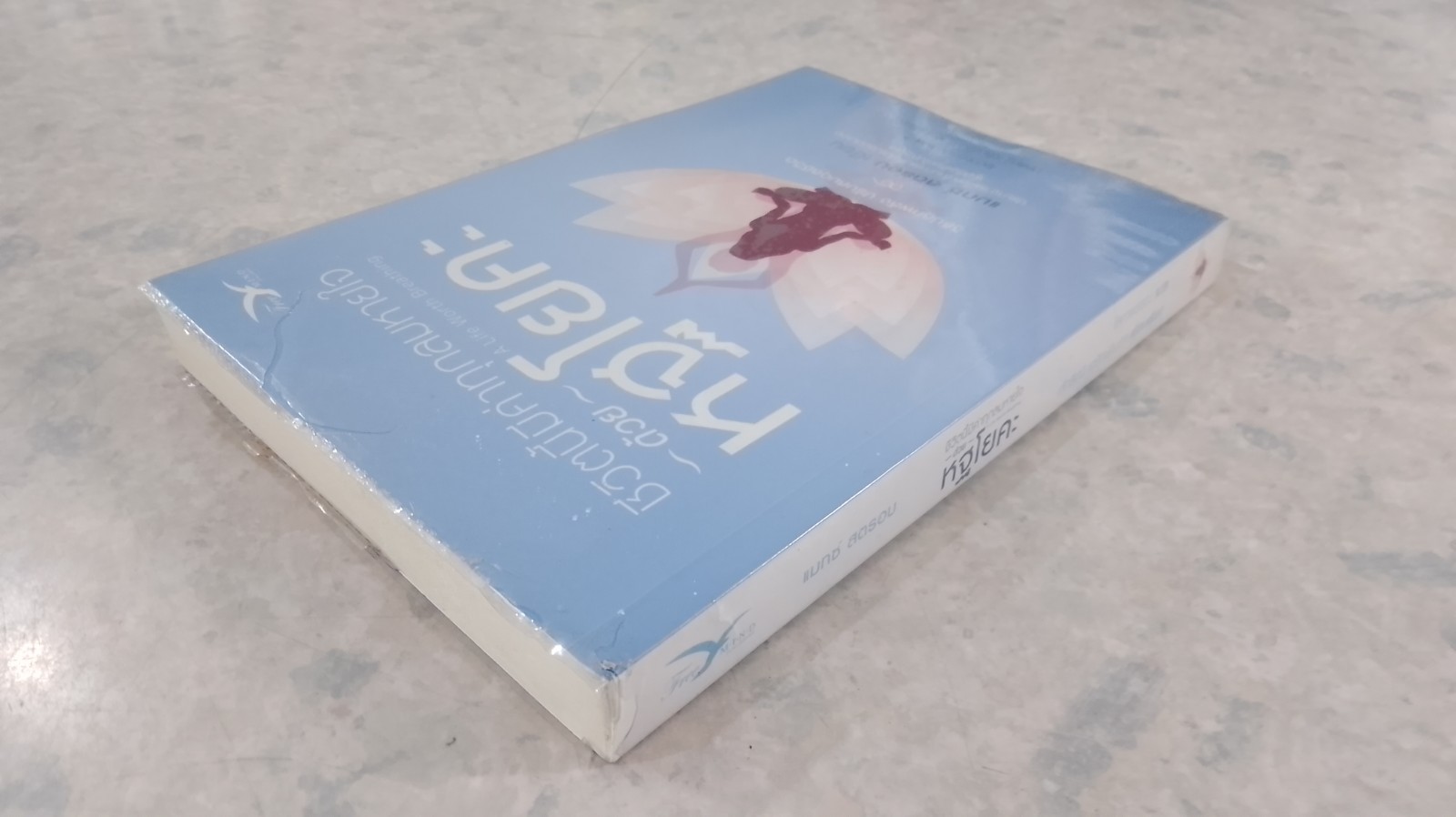 ชีวิตนี้มีค่าทุกลมหายใจ ด้วยกฐโยคะ / แมกซ์ สตรอม