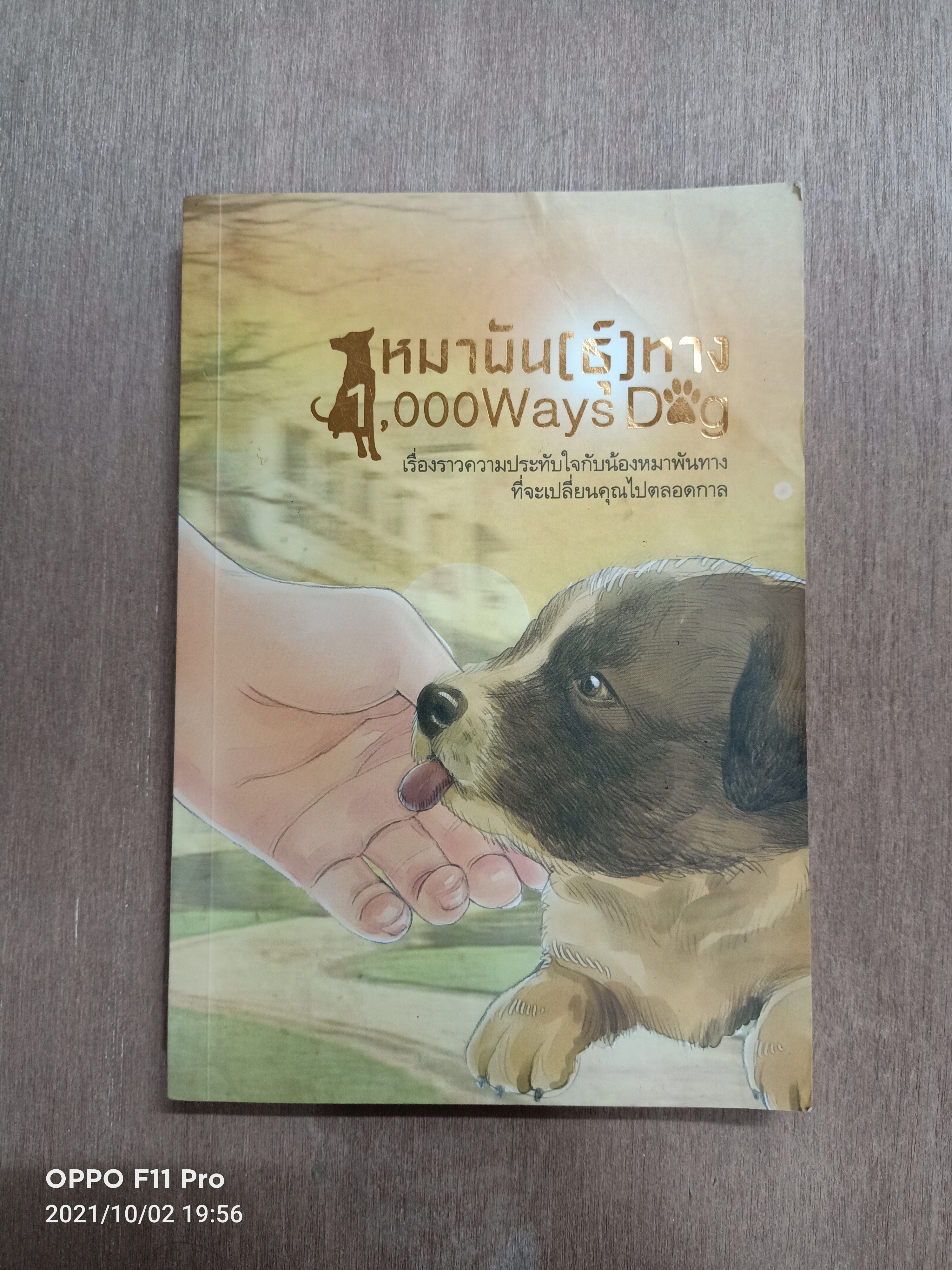 หมาพัน(ธุ์)ทาง 1000 Ways Dog(หนังสือมีรอยด้านในสันหนังสือตามรูปที่ถ่าย) / ชัยวัฒน์ ดำรงกิจกุลชัย