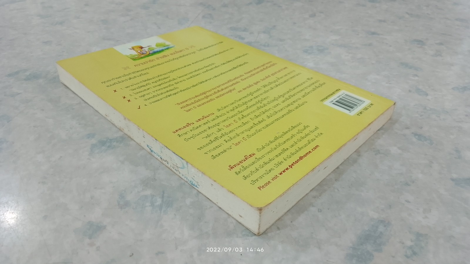 ไอดา บี / แคทเธอรีน แฮนนิแกน