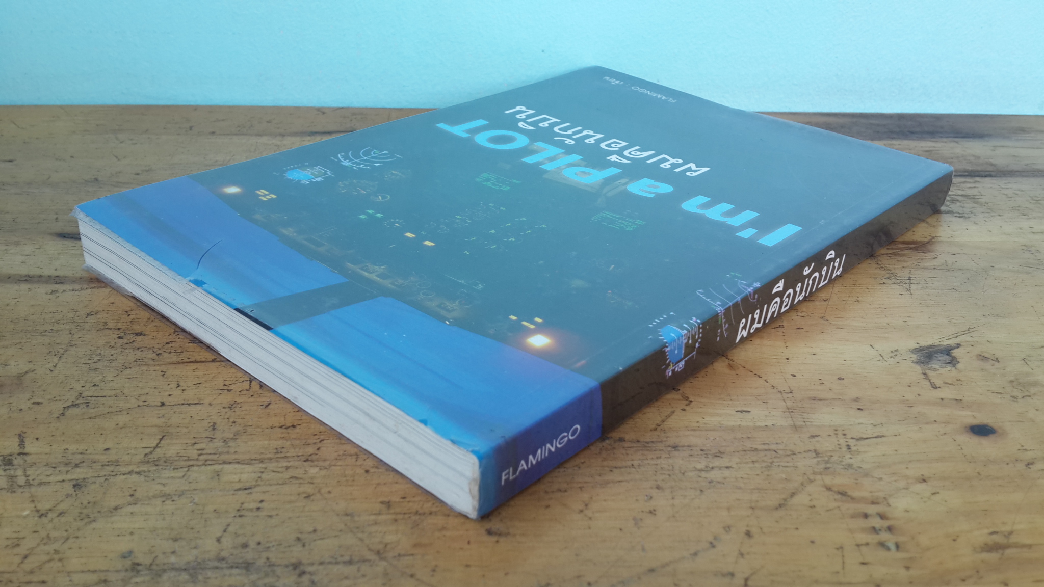 ผมคือนักบิน / FLAMINGO