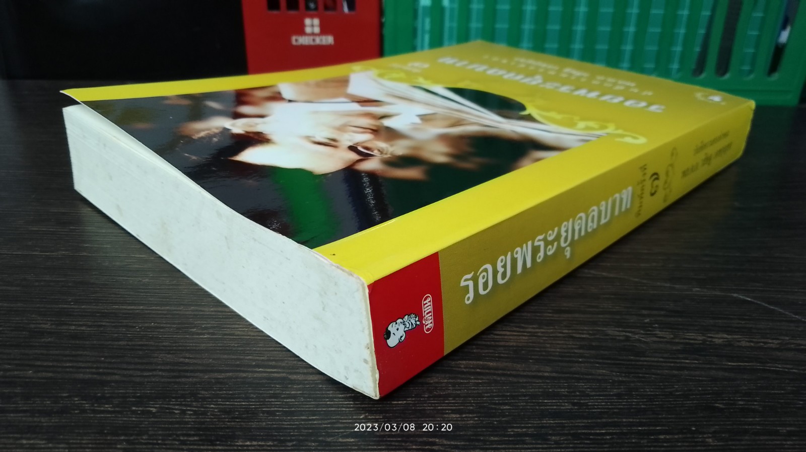 รอยพระยุคลบาท / พล.ต.อ.วสิษฐ เดชกุญชร