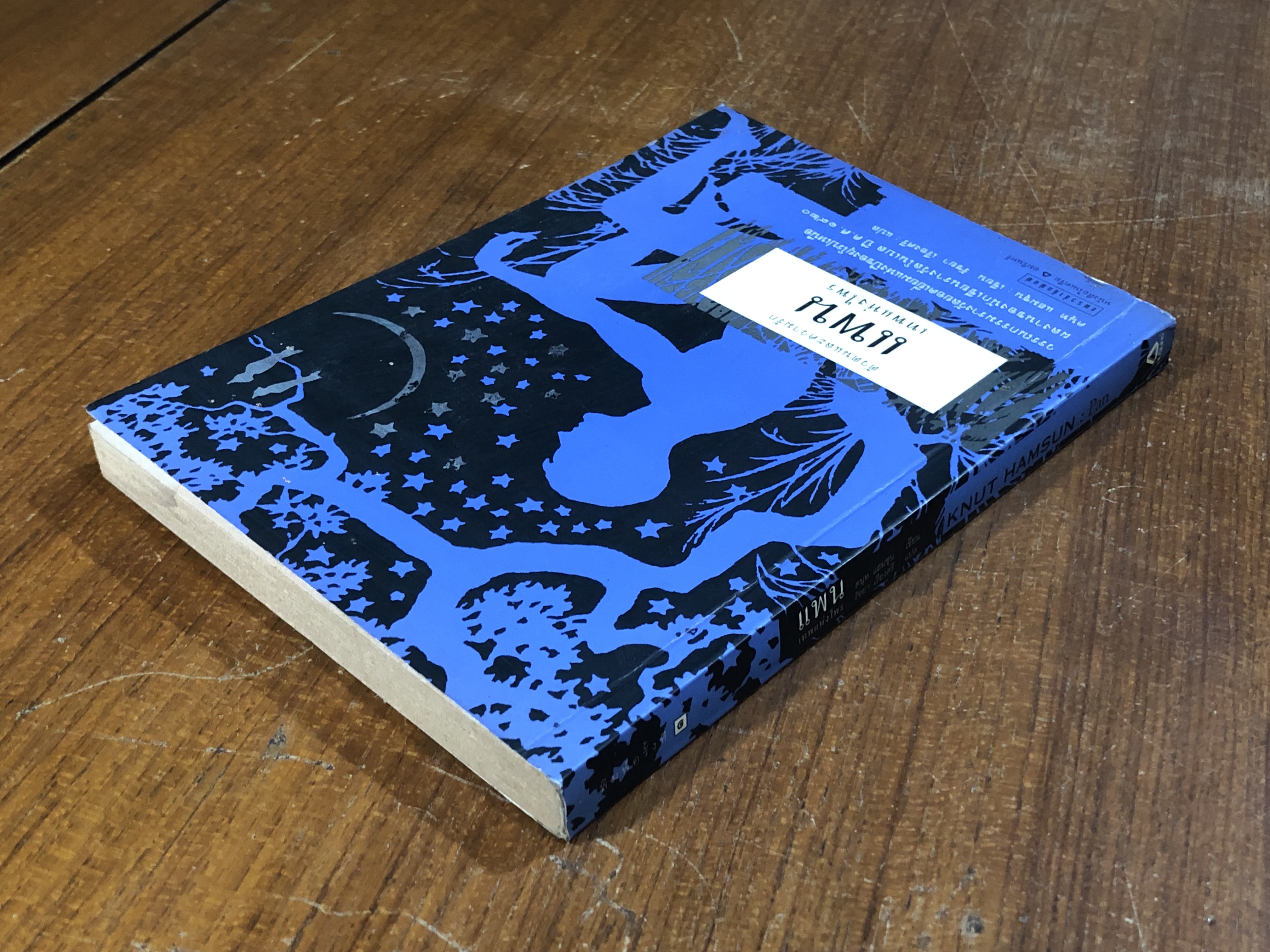 แพน : เทพแห่งไพร / คนุท แฮมชุน (มีรอยโดนน้ำ)