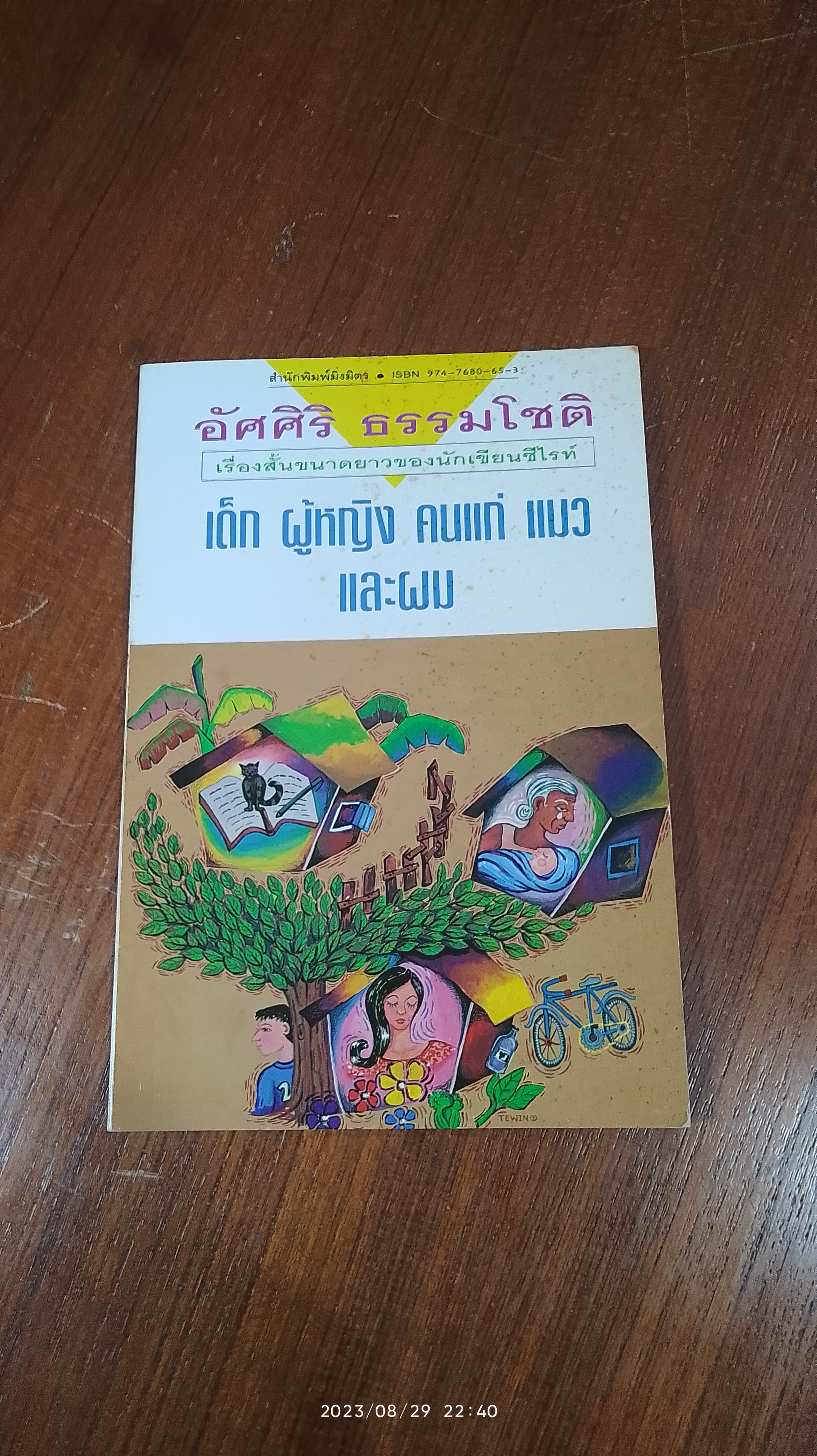 เด็ก ผู้หญิง คนแก่ แมว และผม / อัศศิริ ธรรมโชติ