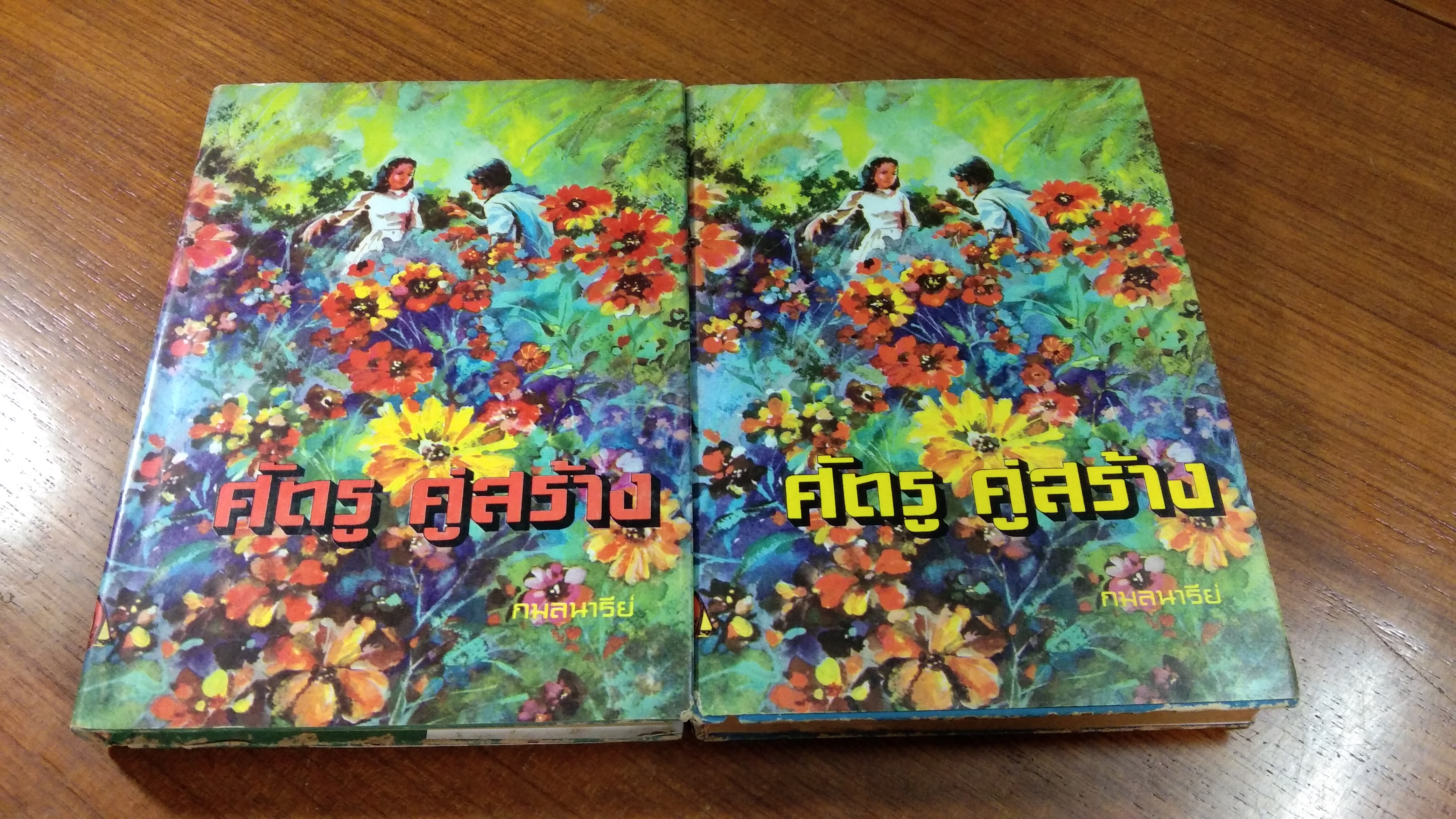 ศัตรู คู่สร้าง (2เล่มจบ) / กมลนารีย์