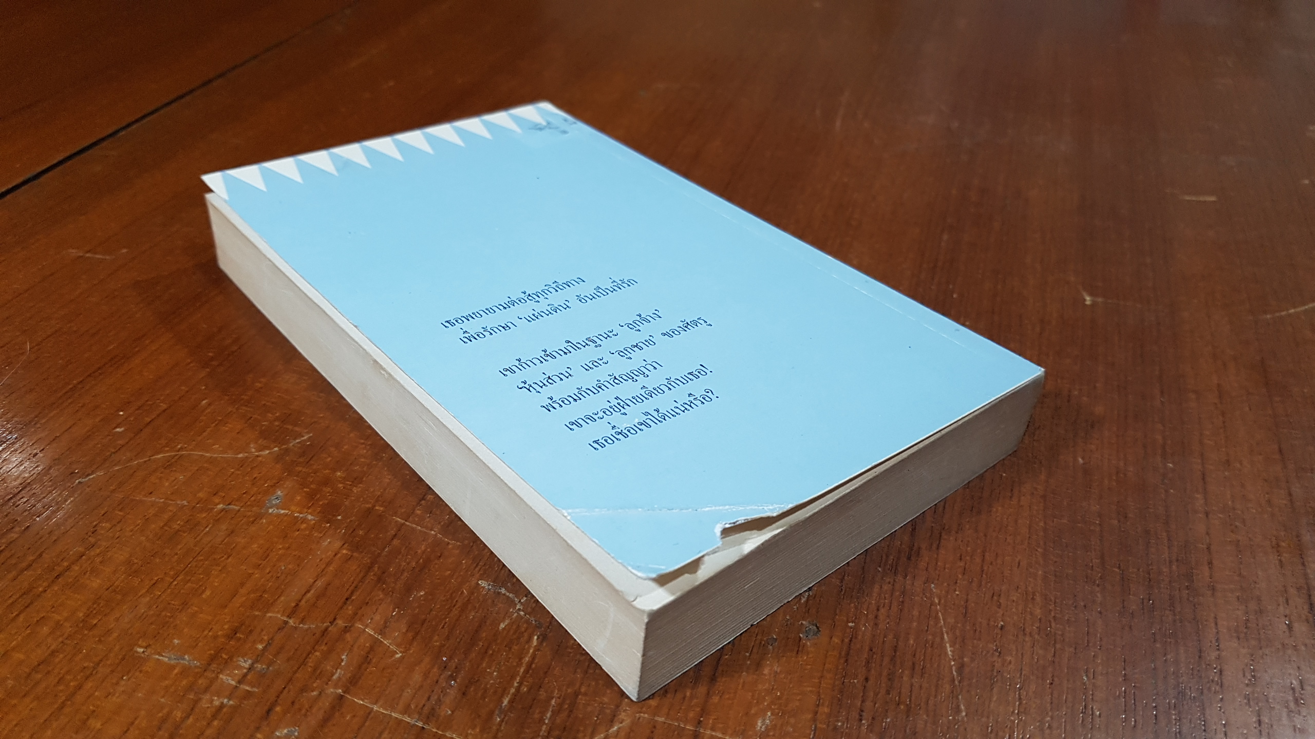 พิศวาสคู่แค้น / ลิซา แจ็คสัน