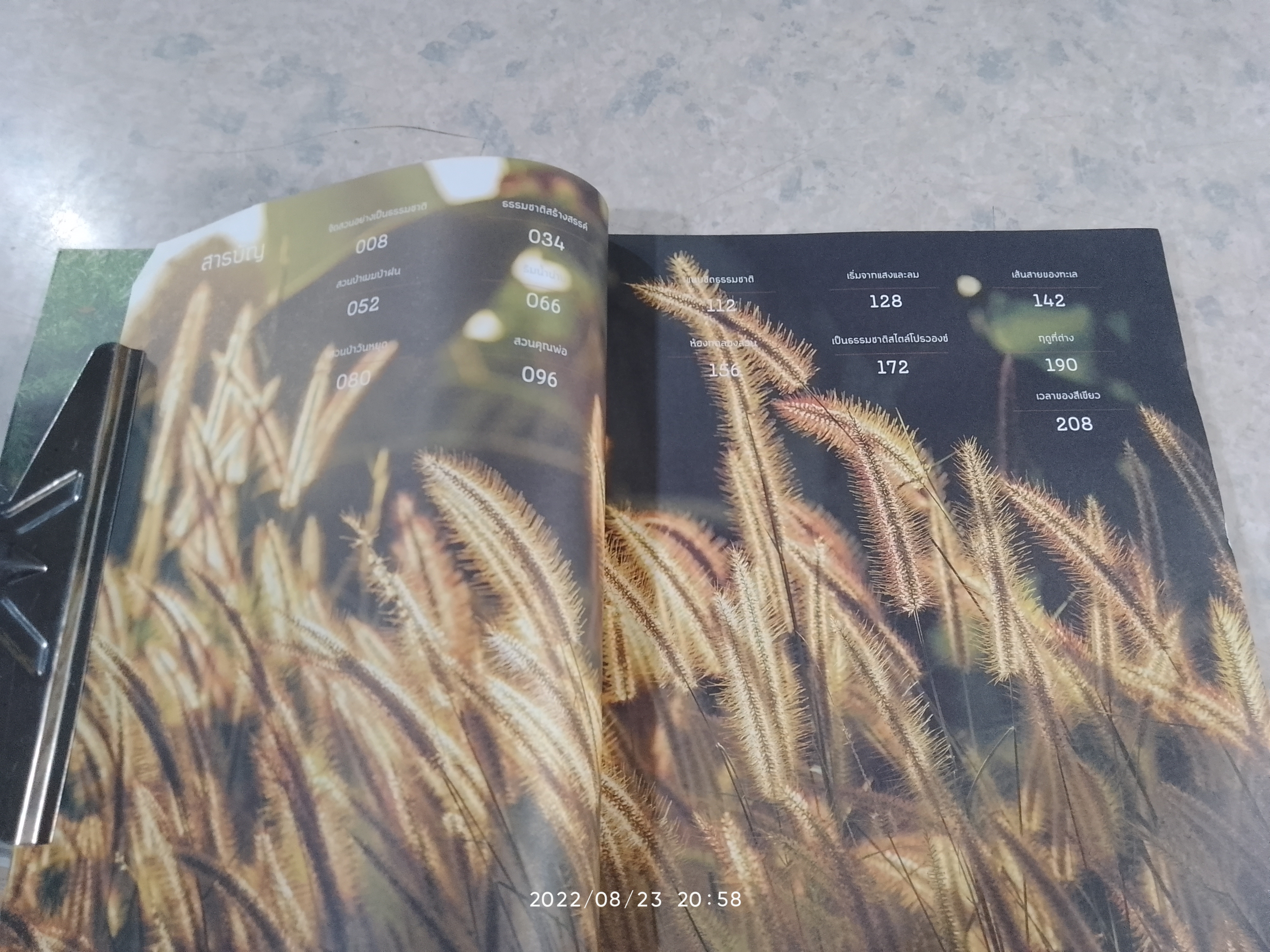 สวนธรรมชาติ / ธนาศรี สัมพันธารักษ์