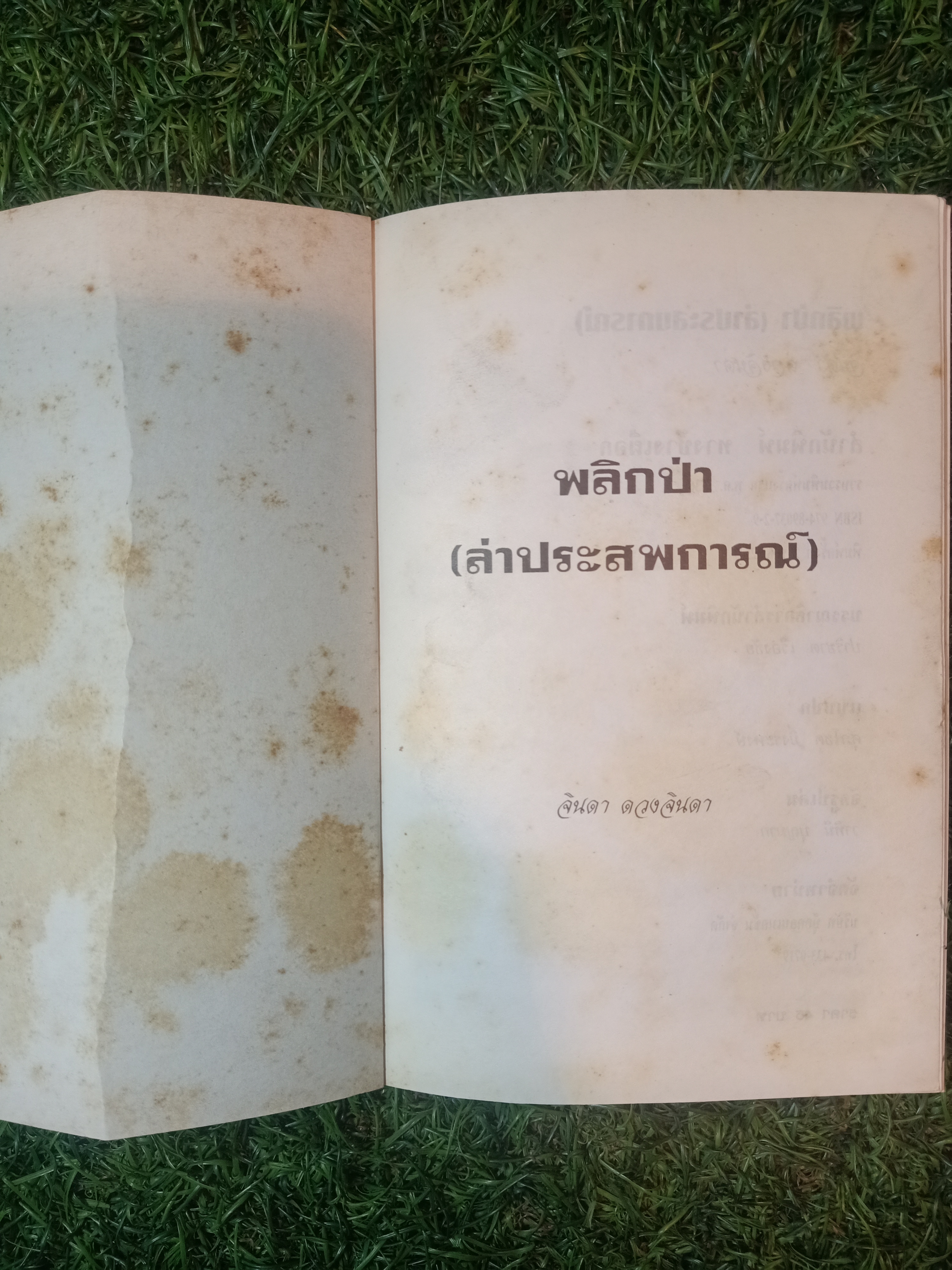 พลิกป่า ล่าประสบการณ์ / จินดา ดวงจินดา