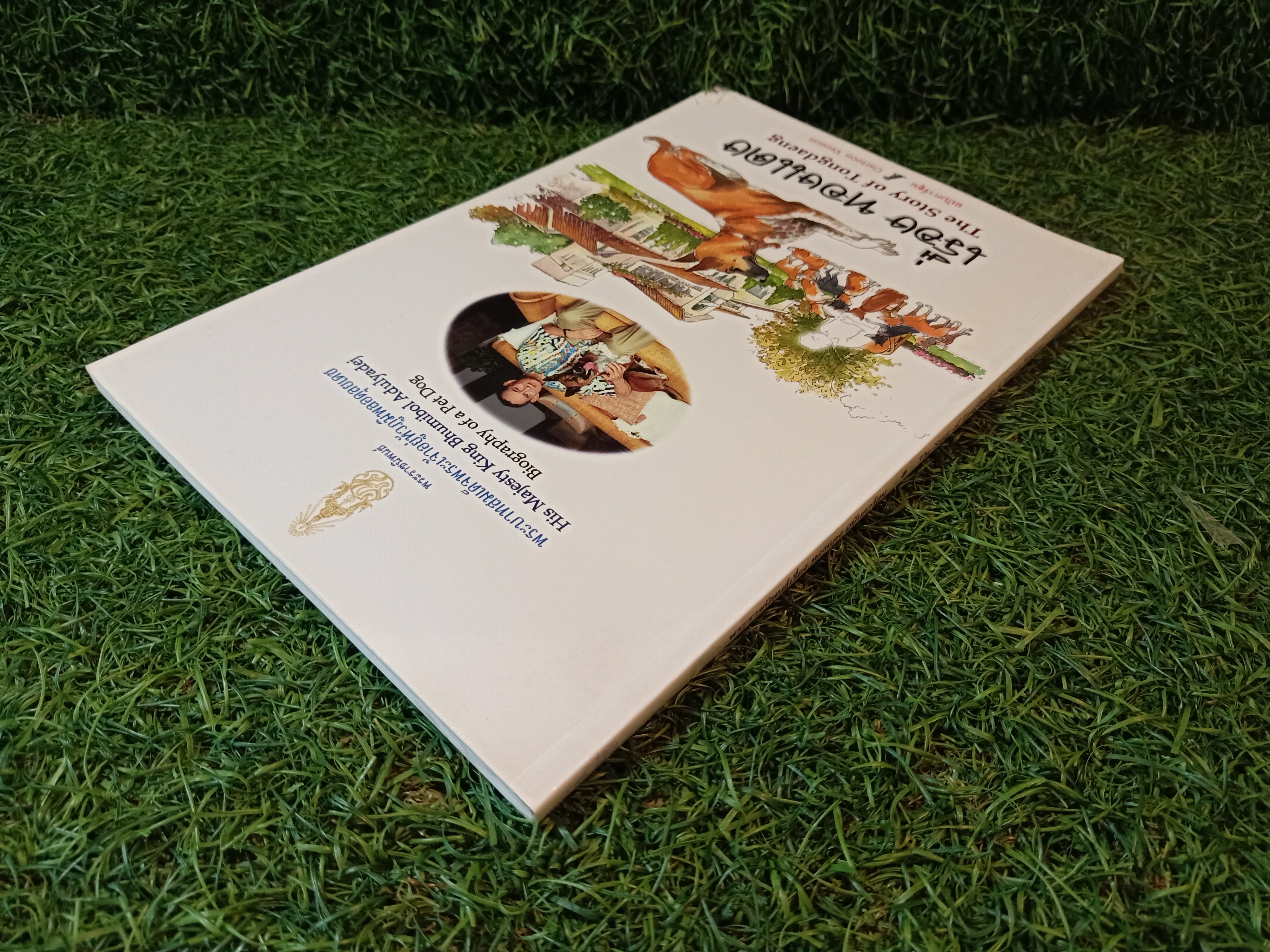 พระราชนิพนธ์เรื่อง ทองแดง ฉบับการ์ตูน / พระราชนิพนธ์ พระบาทสมเด็จพระเจ้าอยู่หัวภูมิพลอดุลยเดชฯ