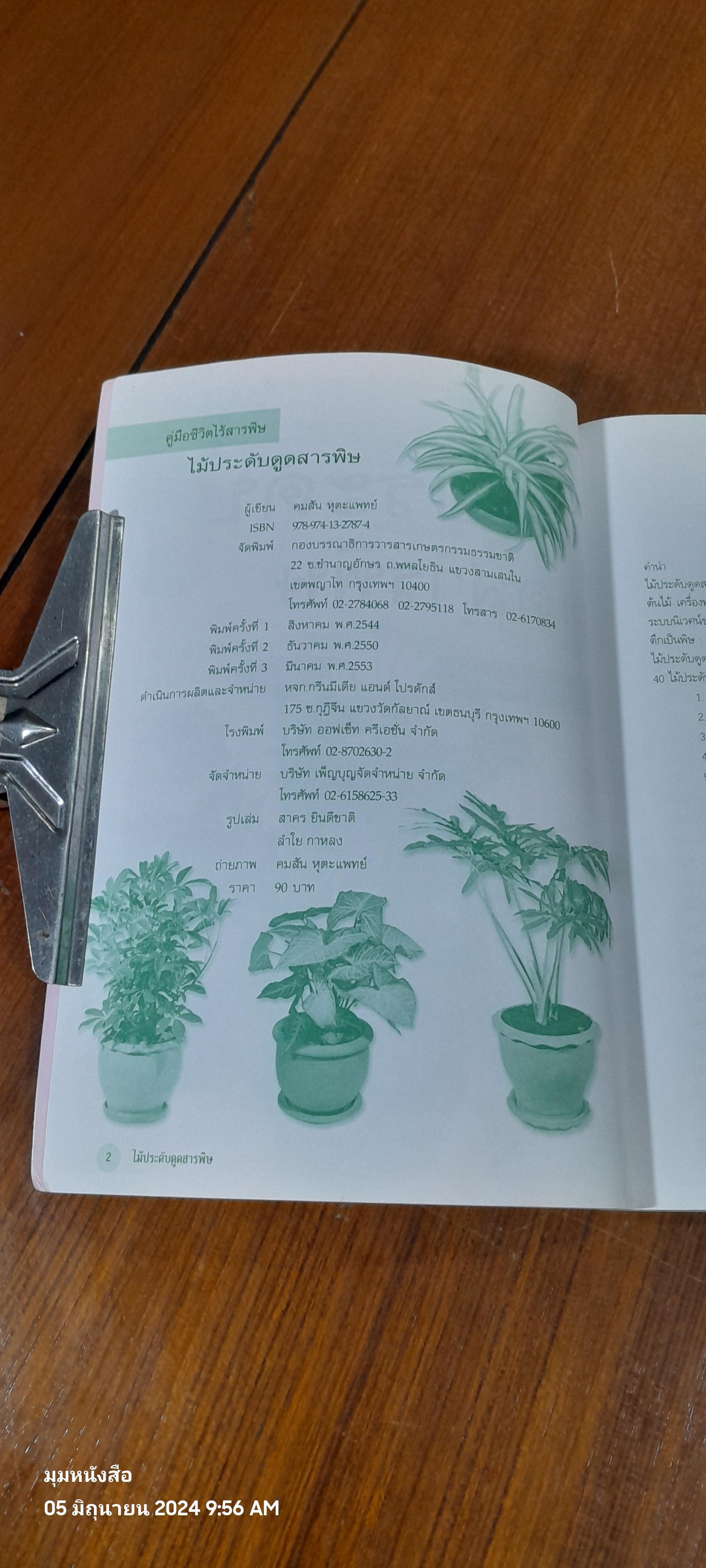 ไม้ประดับดูดสารพิษ ( มีรอยขีดเขียนด้านใน ) / คมสัน หุตะแพทย์