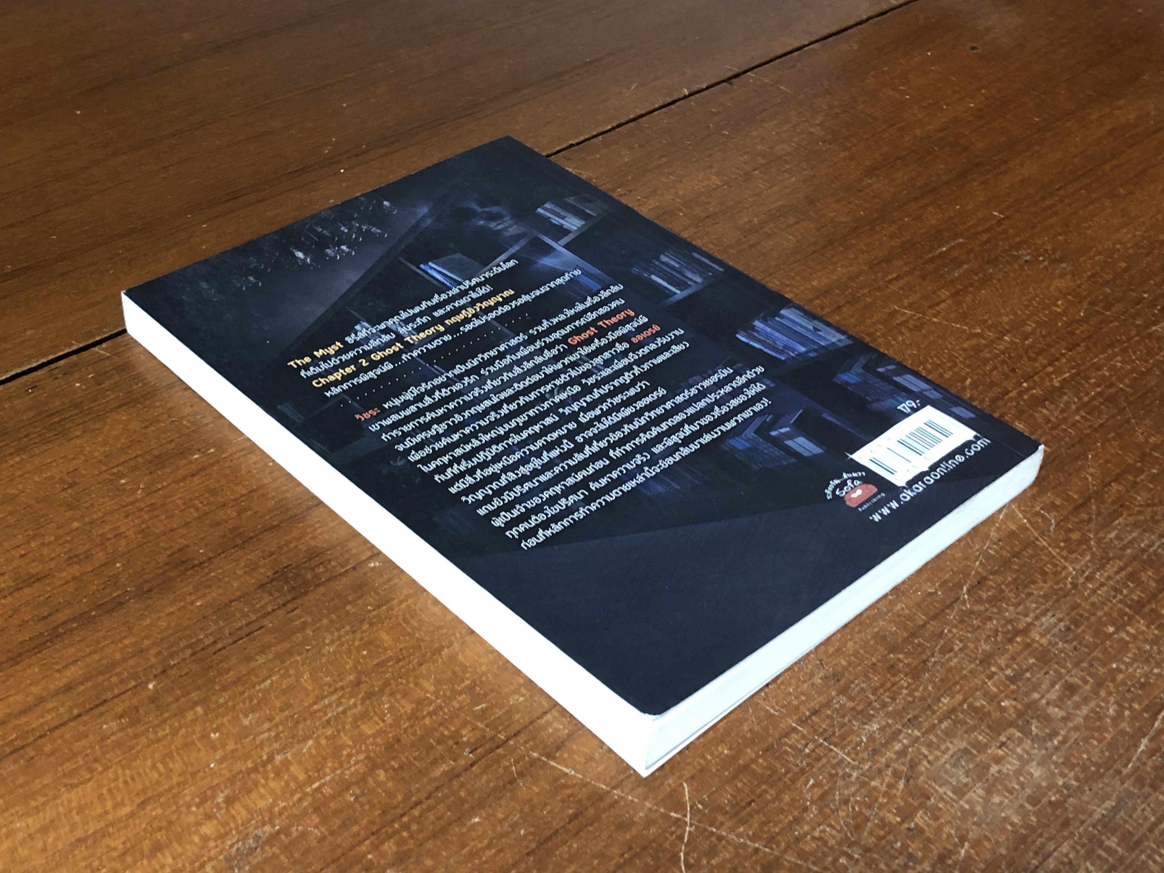 ทฤษฎีขังวิญญาณ / ปองวุฒิ