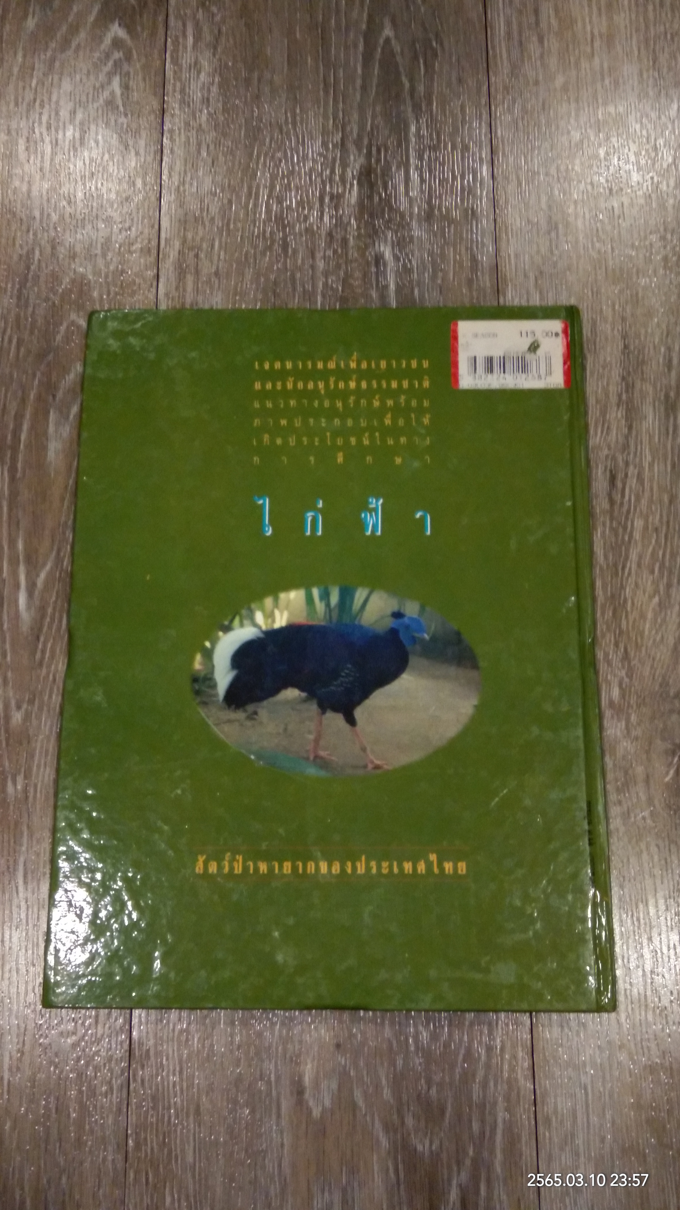 ไก่ฟ้า สัตว์ป่าหายาก ของไทย / วิชิต สิงห์ทอง