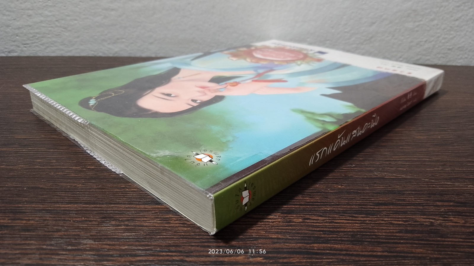 แรงแค้นแสนคะนึง / ถังอิน